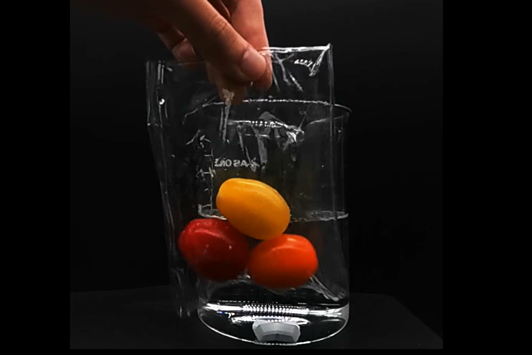 A bag made from the new plant-based plastic dissolved in artificial seawater after a few hours