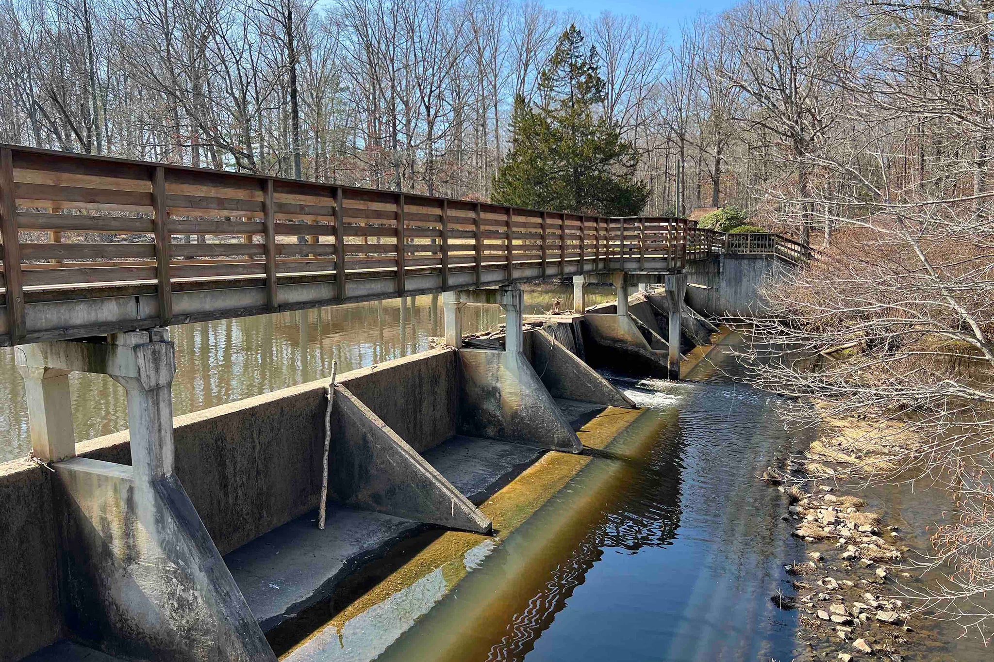 Melinda Pereira suffered from a cardiac arrest in Echo Lake Park, where she was saved by a mysterious nurse