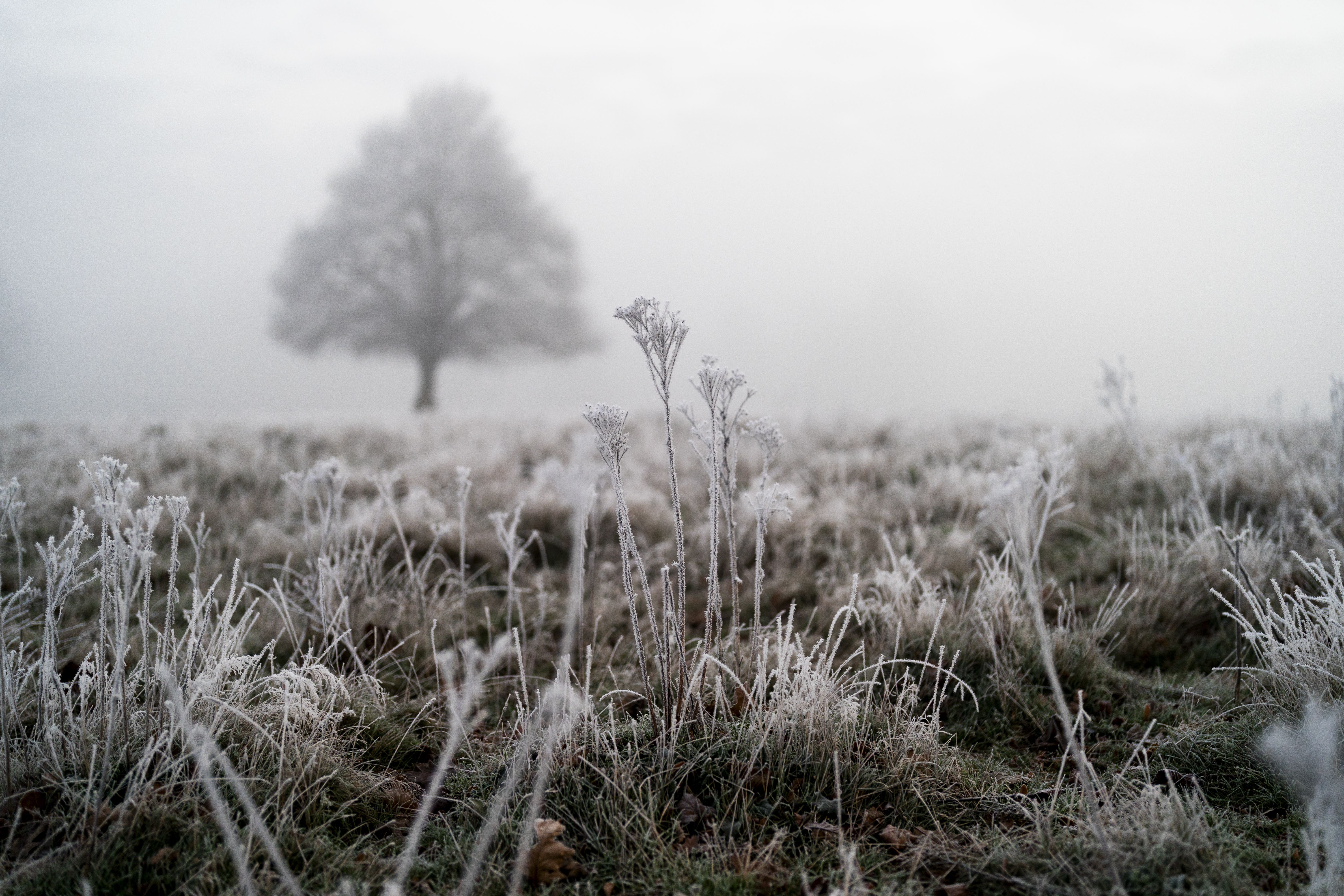 There could be overnight frosts next week (Jordan Pettitt/PA)
