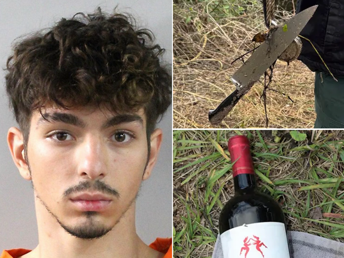 <p>Julian Trevino, 19, was arrested in connection to the stabbing death of 67-year-old John Torneo. Police say the suspect used a wine bottle in the attack. </p>