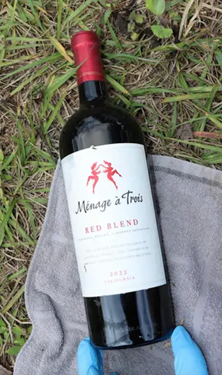 Trevino then allegedly grabbed a bottle of wine from a cooler in the bedroom and beat him in the head until he was dead