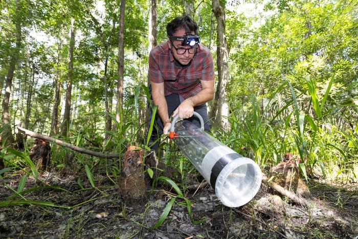<p>University of Florida researchers have analyzed the blood of tens of thousands of Florida mosquitoes, finding the DNA of a lot of the area’s biodiversity</p>