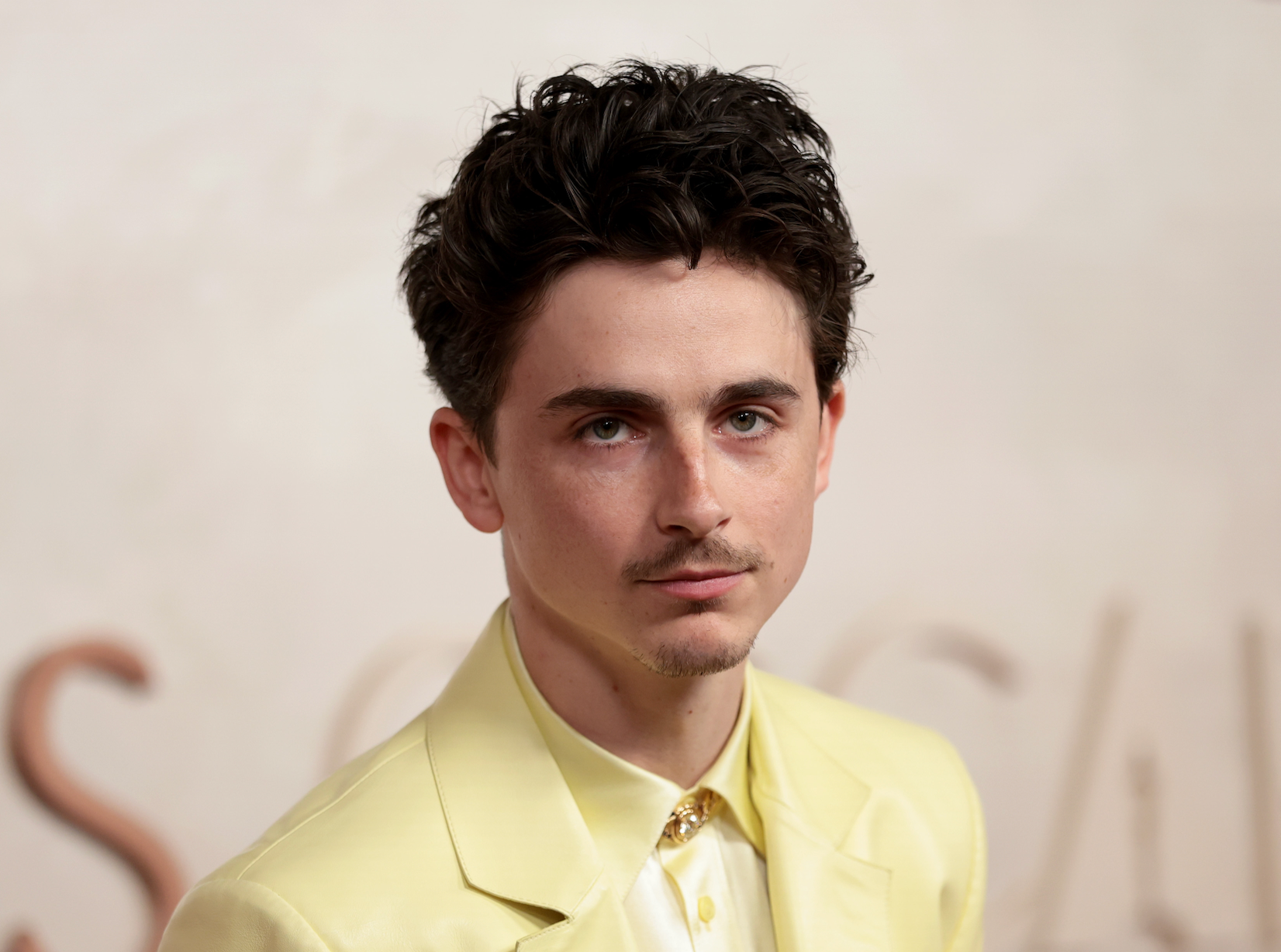 Timothée Chalamet explains why Susan Boyle is one of all-time greatest Brits