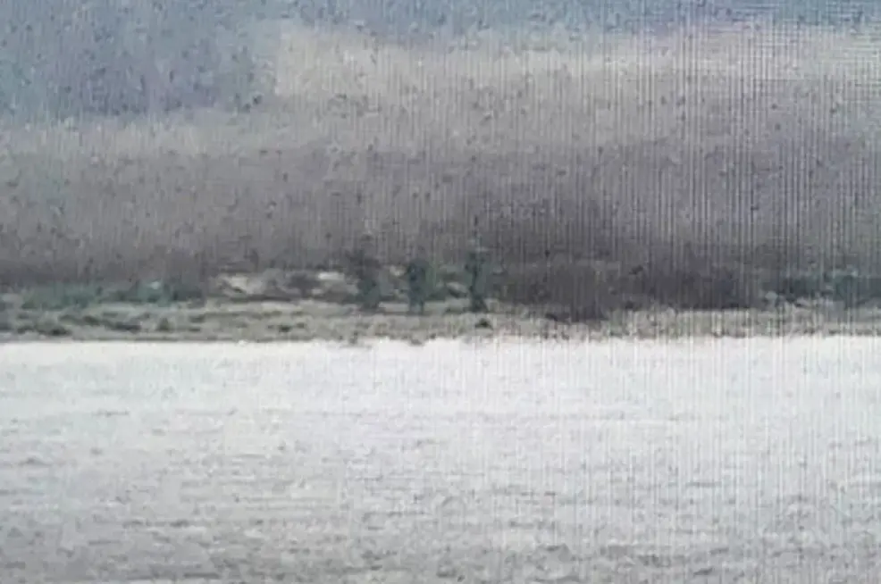 <p>Authorities were working to establish the motivation behind the incident</p>