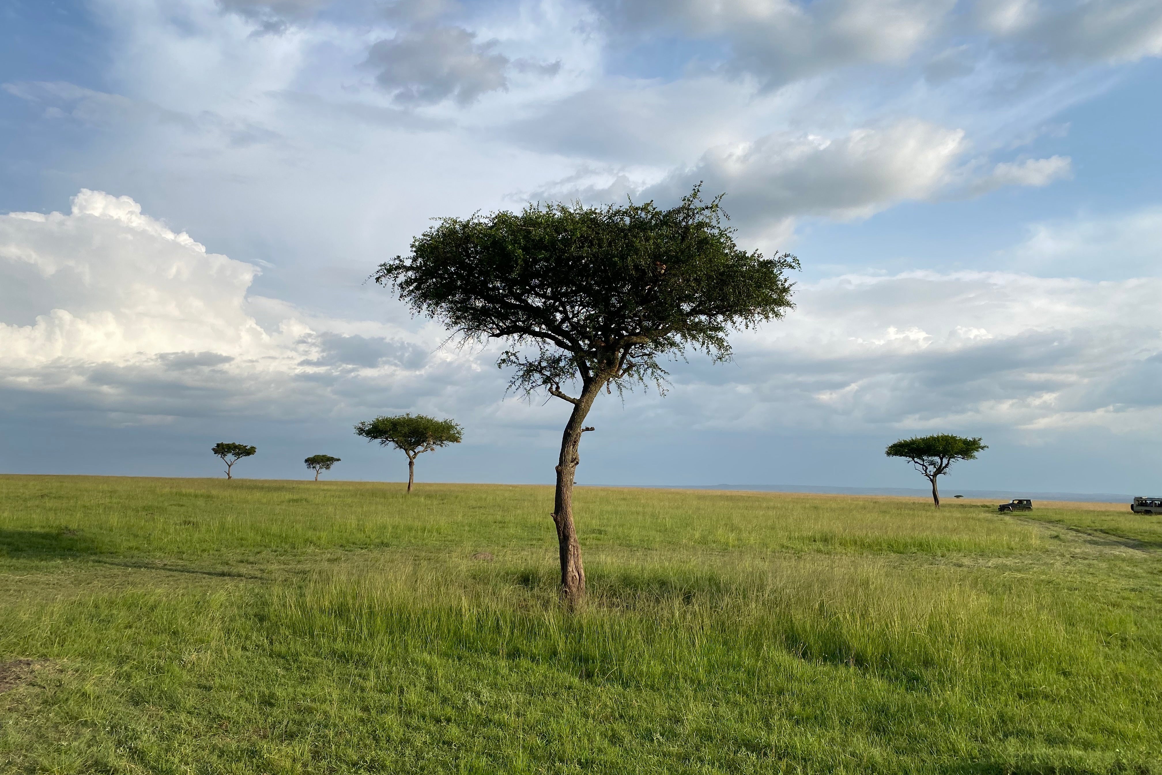 Travel-Kenya-Safari with a Purpose