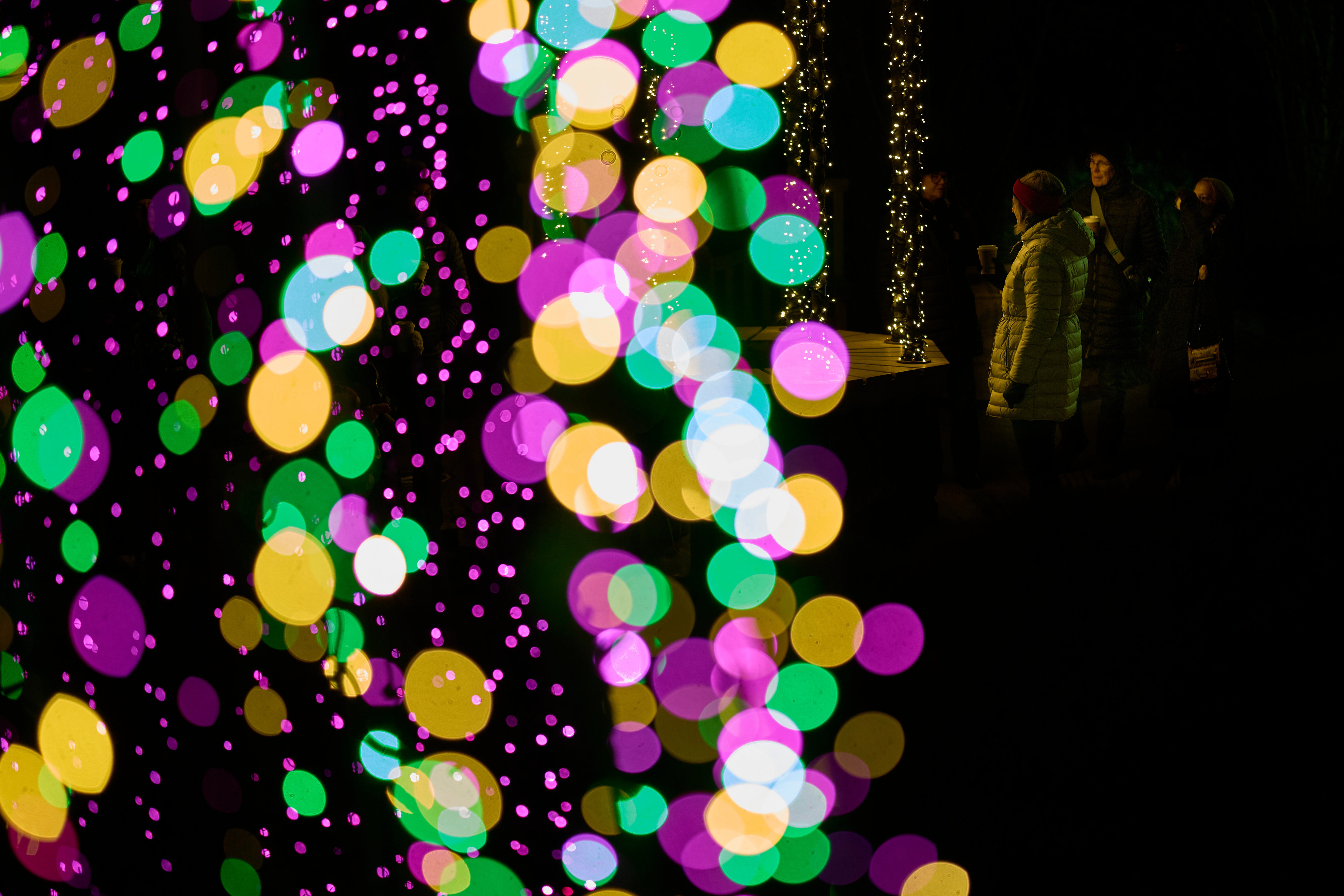 Holiday Lights Photo Gallery