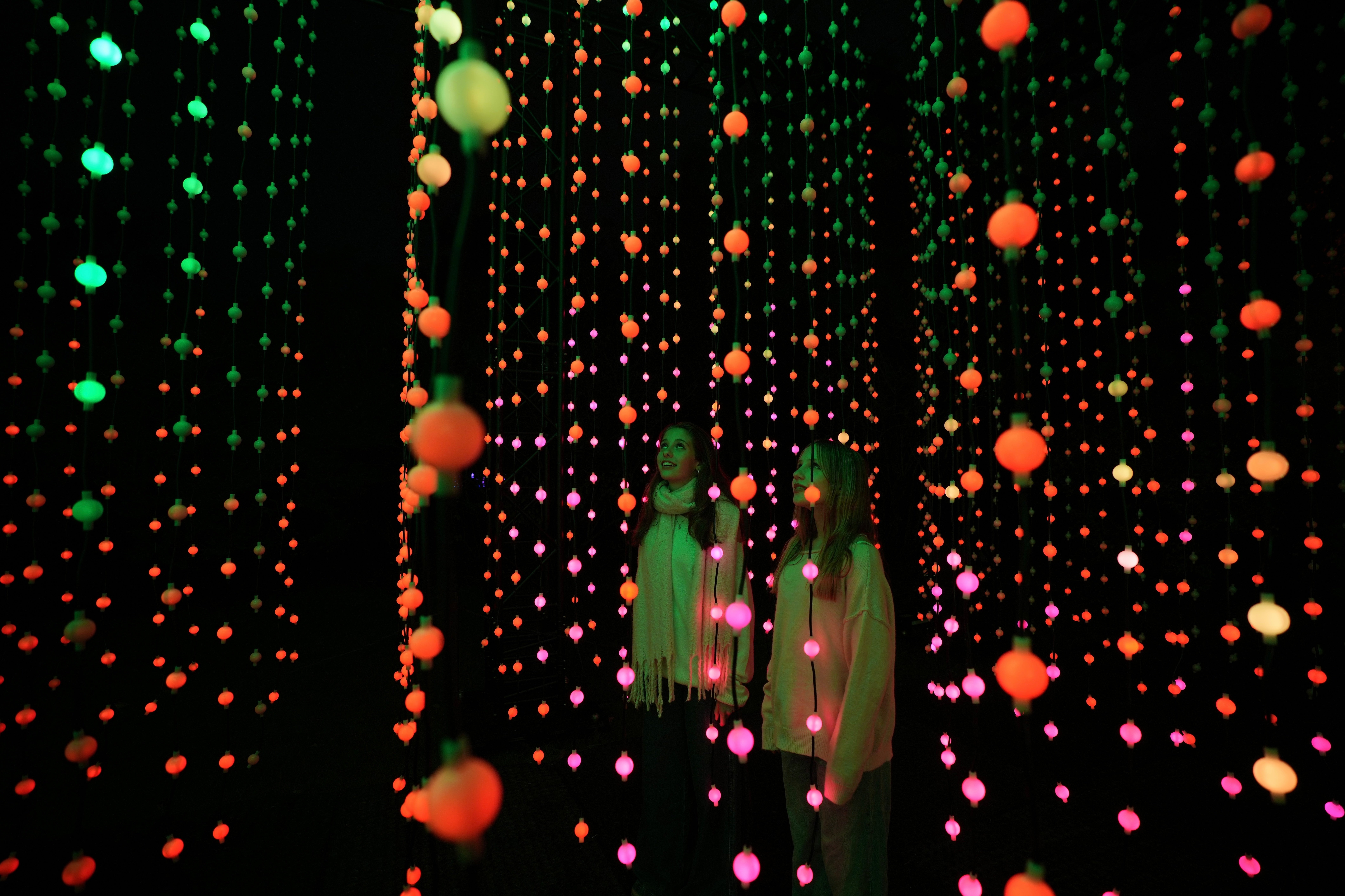 Holiday Lights Photo Gallery