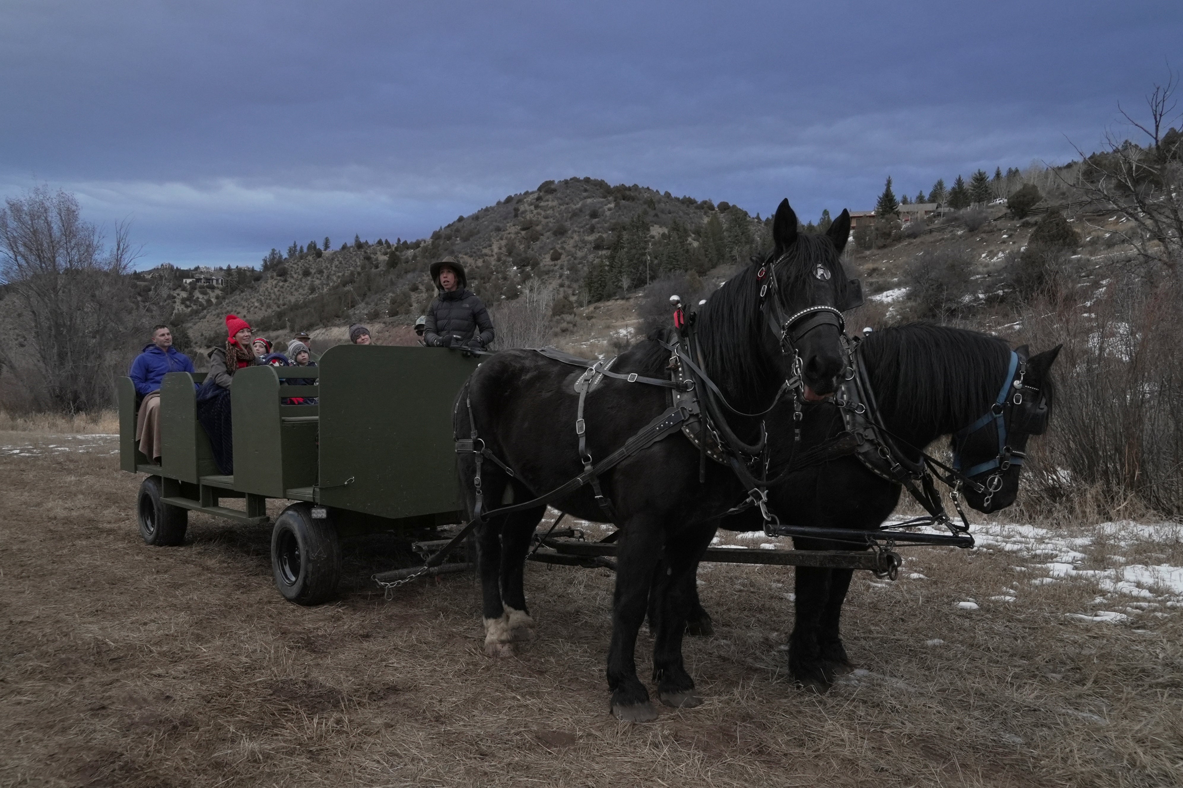 Tourists ride in a horse-pulled wagon in lieu of a sleigh