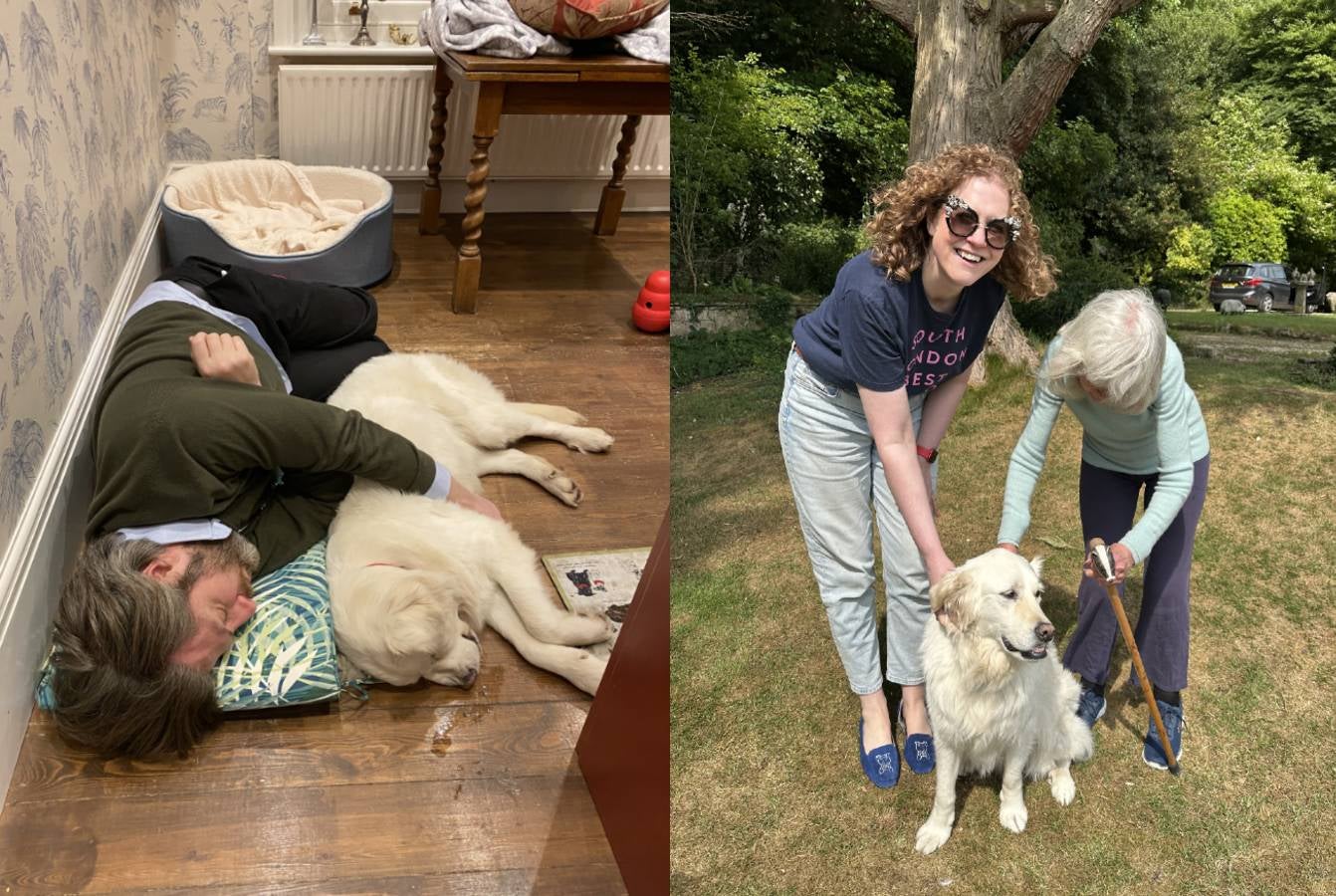 Sybil, adopted from Serbia’s Forgotten Paws at Christmas in 2020, met Jilly Cooper this summer. ‘Animals are work – and, just like people, if you don’t teach yourself how to understand them, you’re going to have a bloody horrible time’