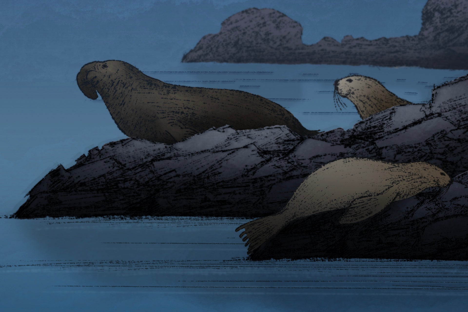 SCI--Extreme Animal Sleep