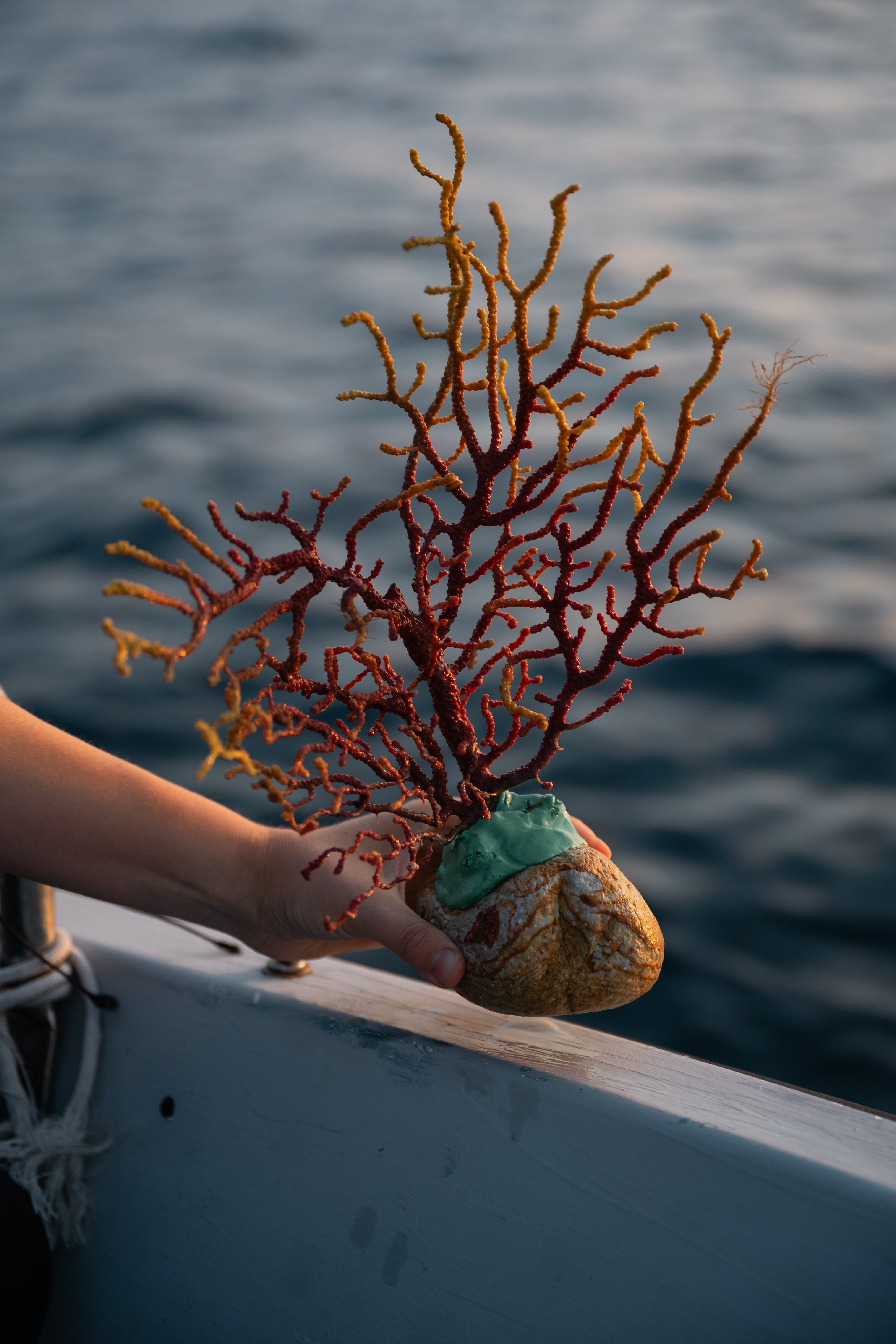 The precious red coral is often used for jewellery