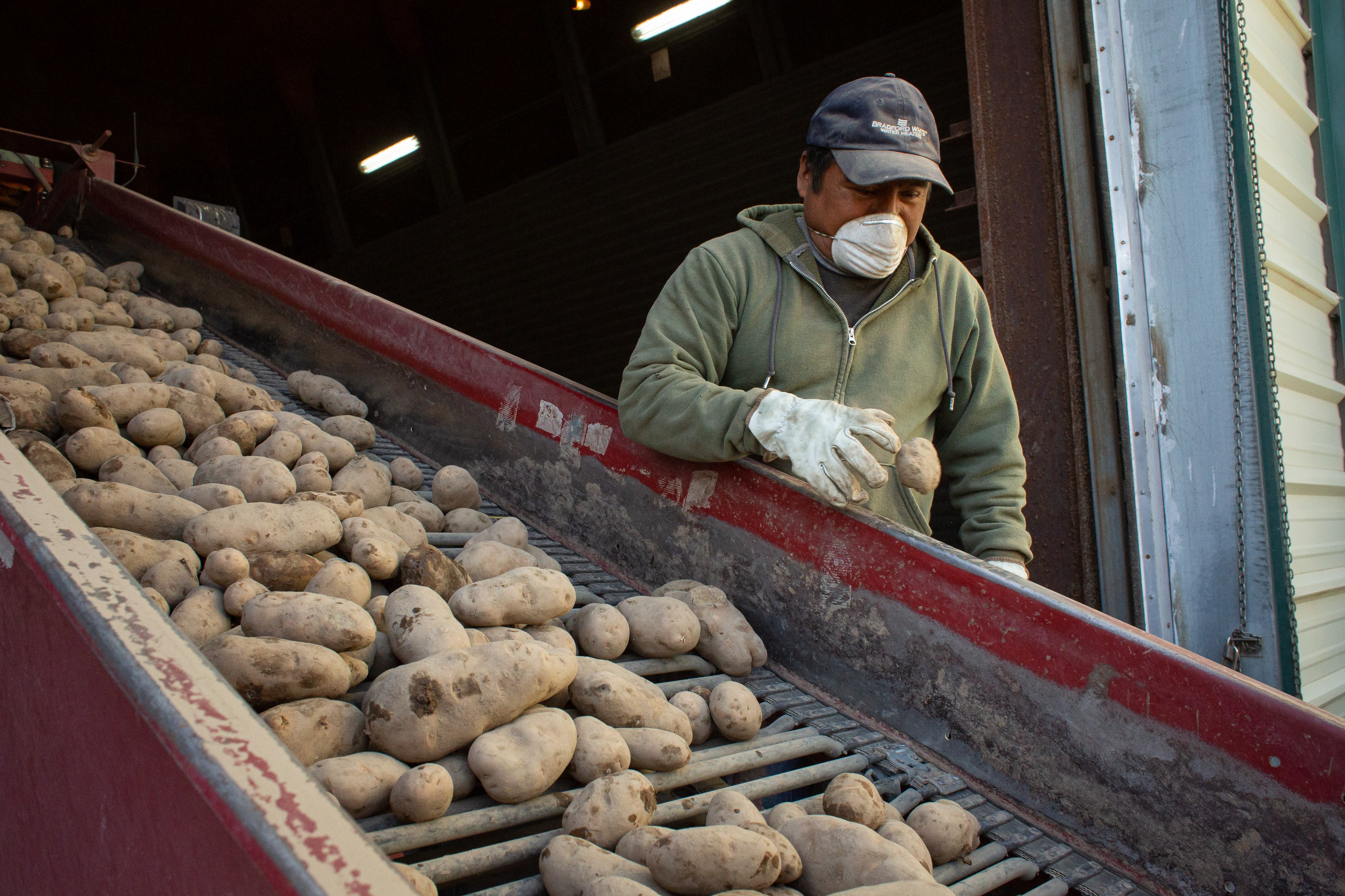 <p>Fries and other greasy potato dishes are an American staple. But experts say the spuds can help you lose weight when cooked properly. </p>