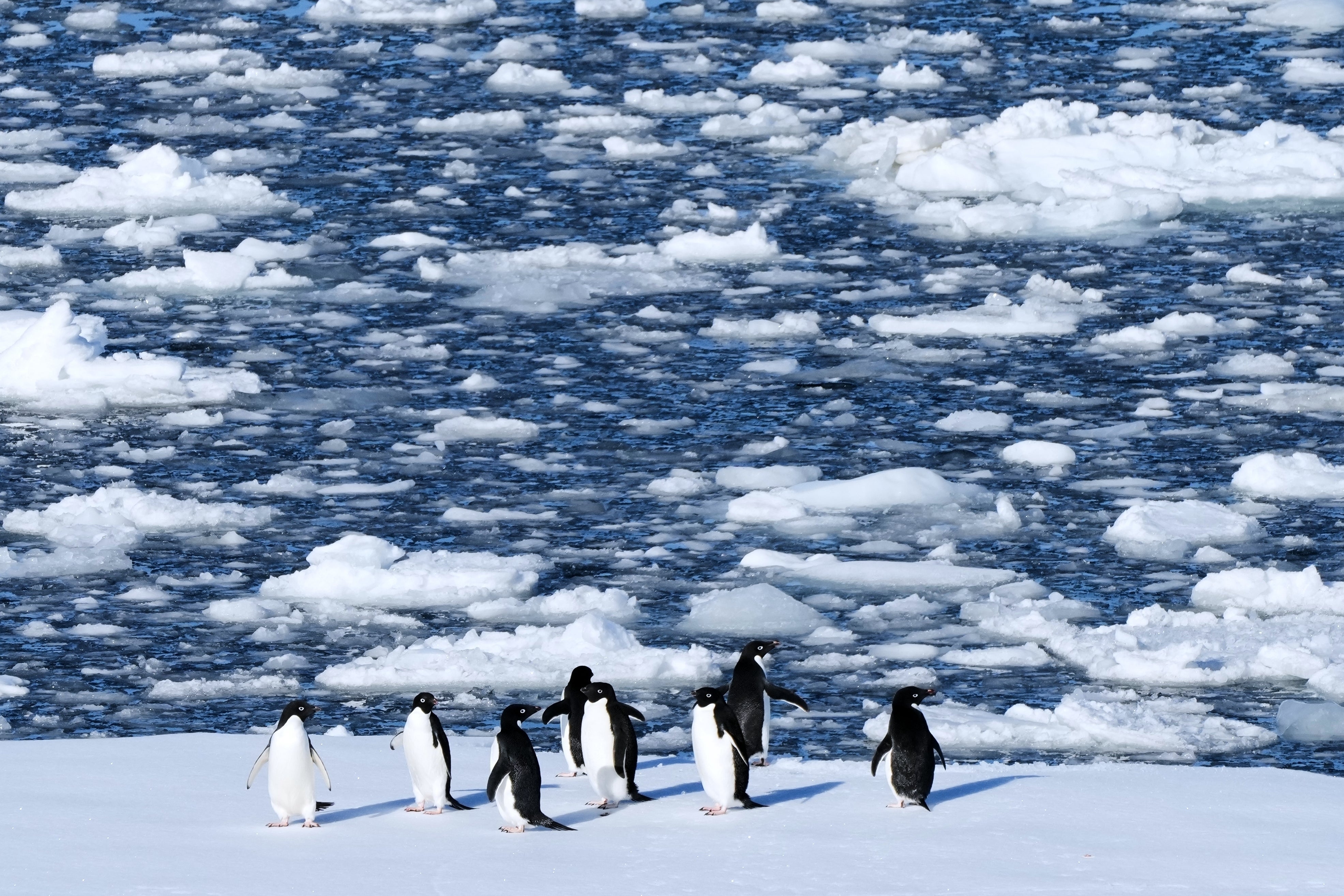 APTOPIX Climate Antarctica Photo Gallery