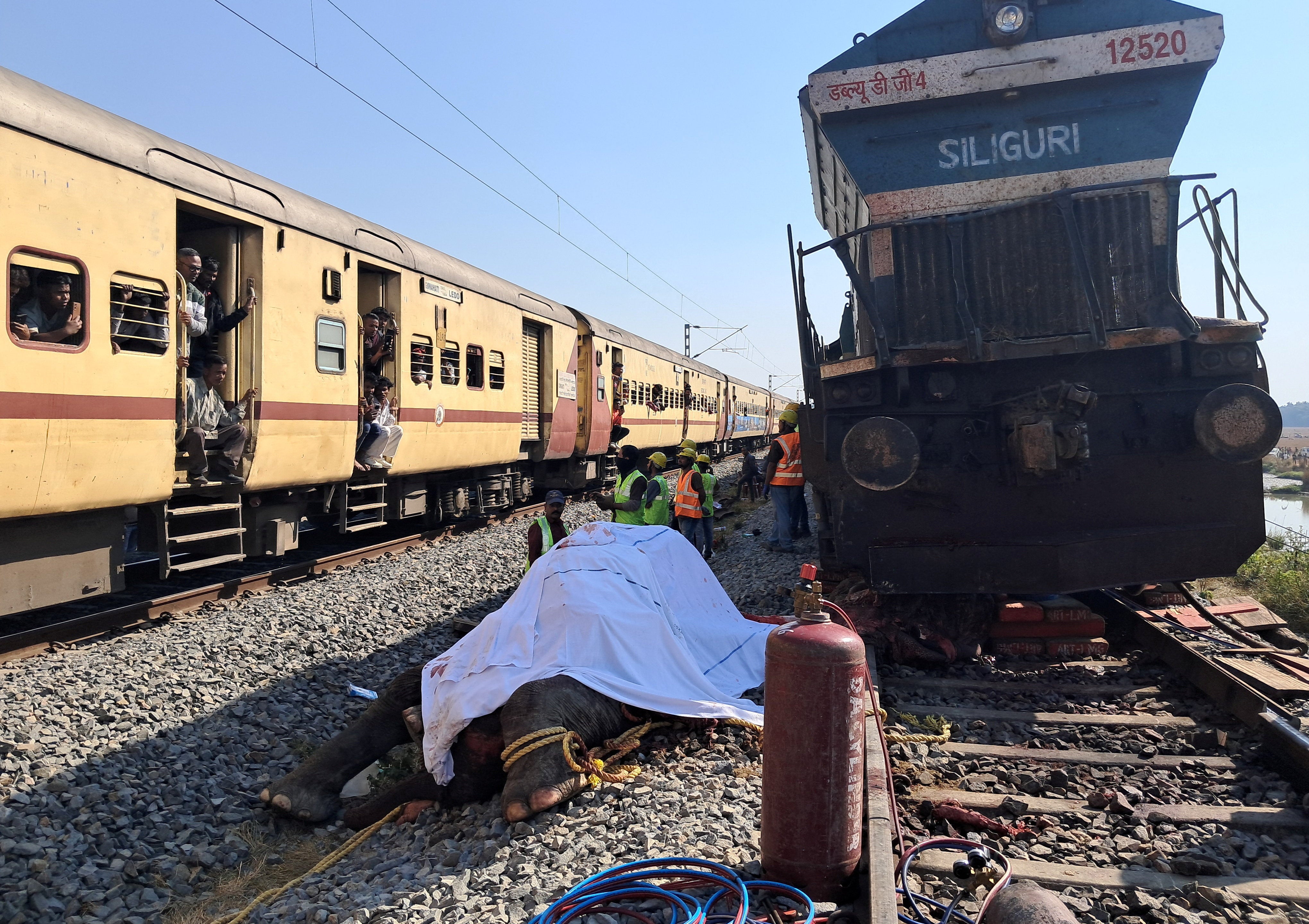 <p>Train passengers use their mobile phones to take photographs of a dead elephant after it was hit by a train</p>