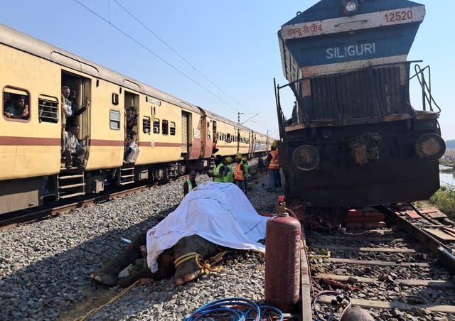 <p>Train passengers use their mobile phones to take photographs of a dead elephant after it was hit by a train</p>
