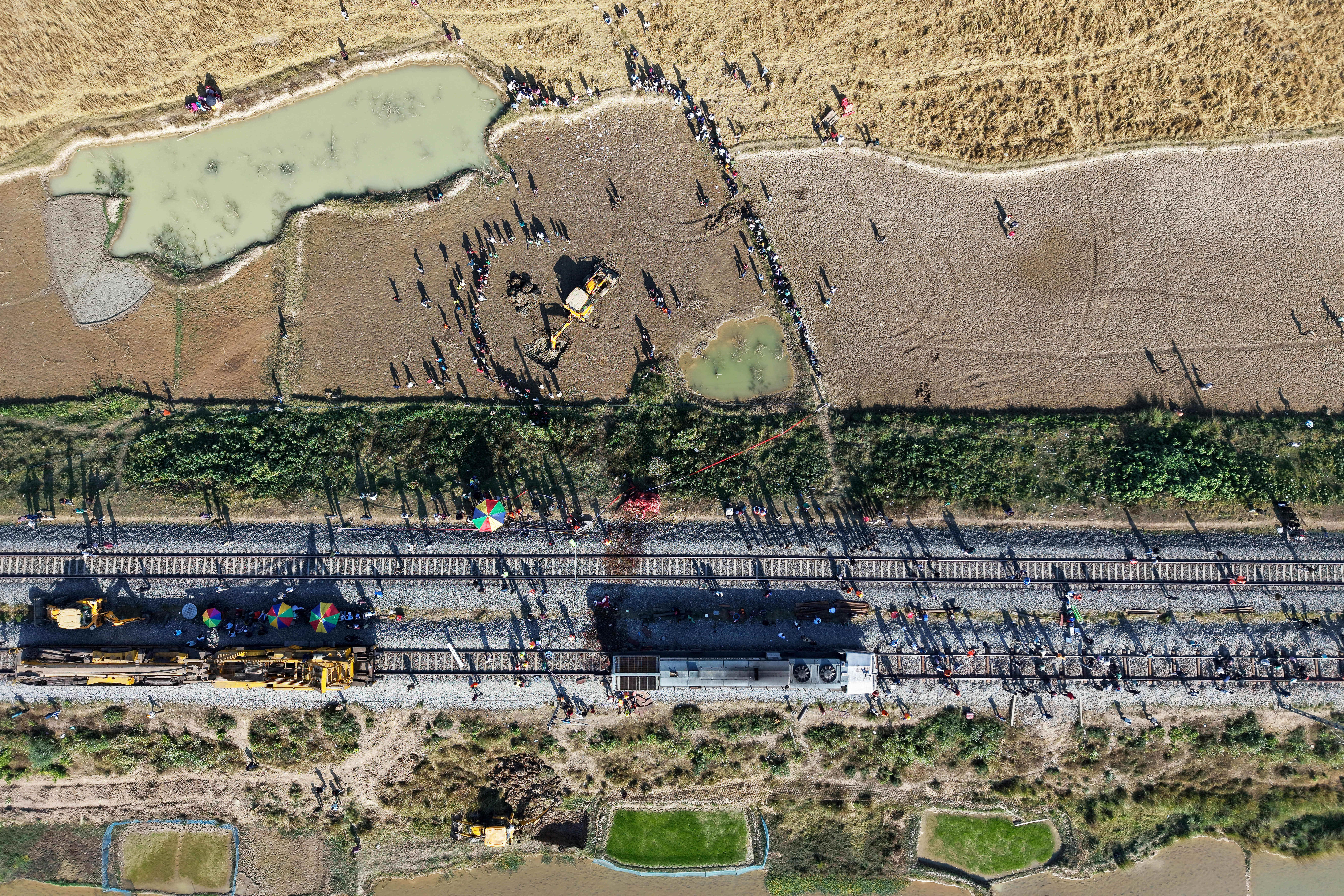 India Elephants Accident