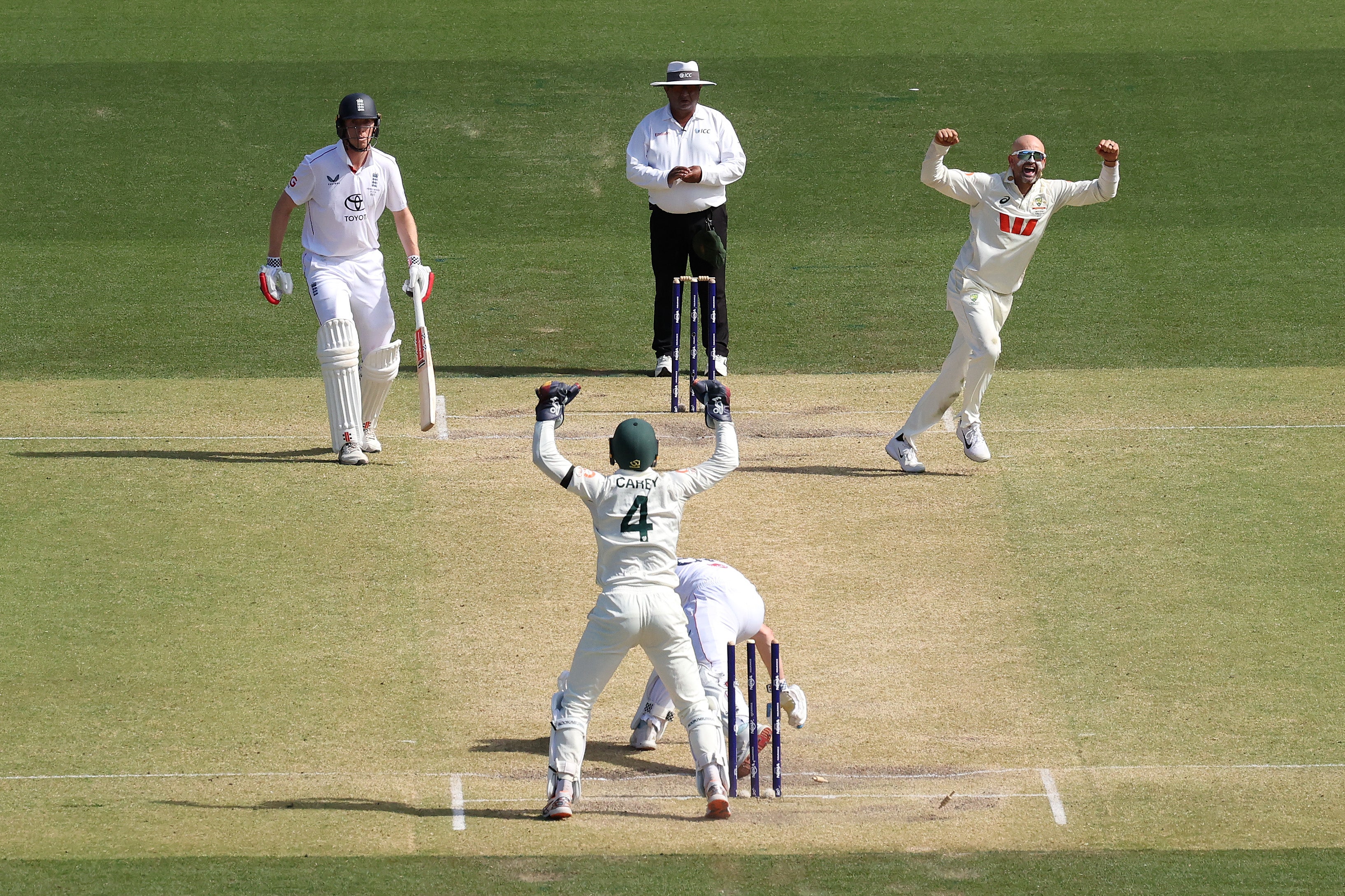 Nathan Lyon celebrates bowling out Harry Brook