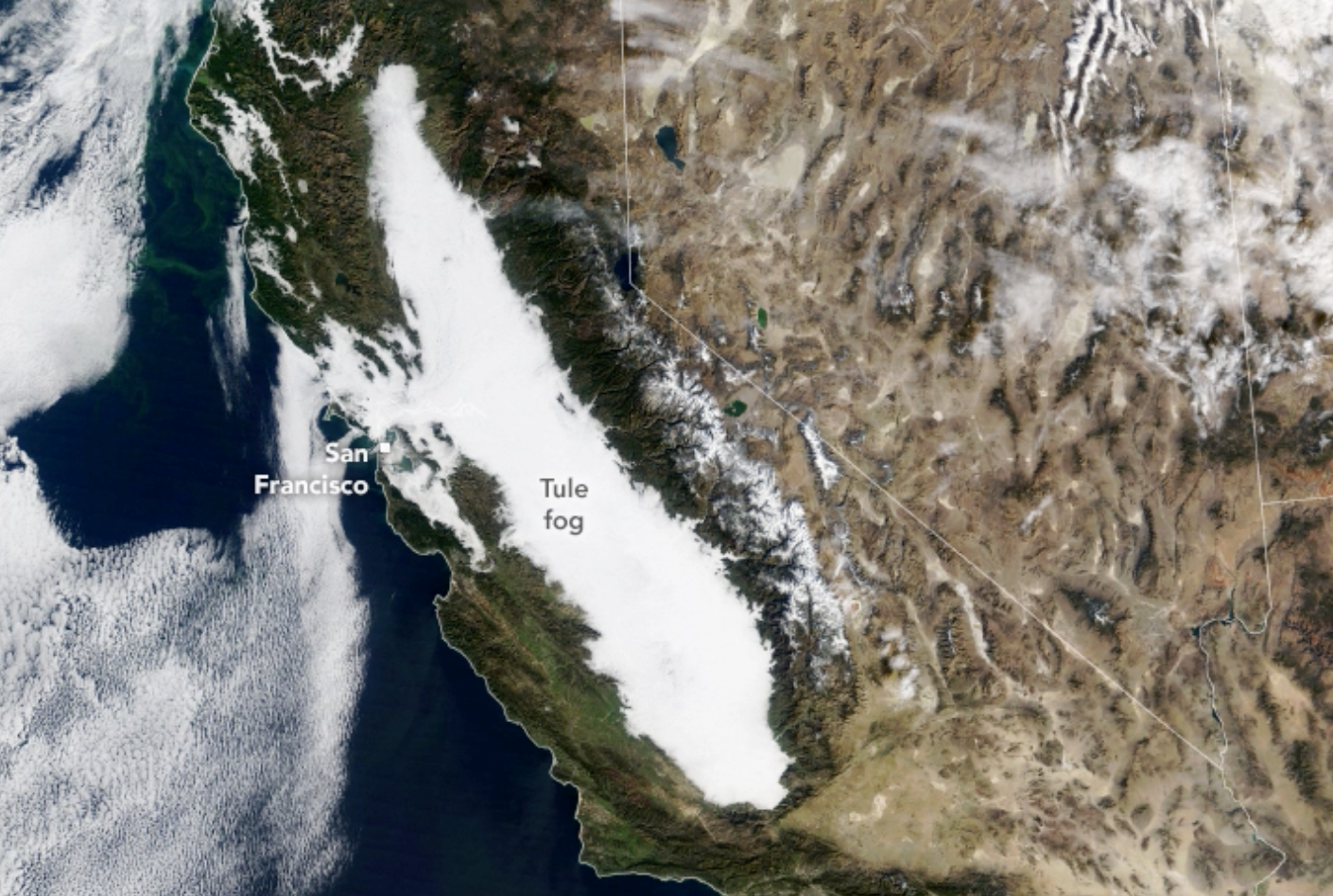<p>Heavy fog has blanketed much of central California since November, though it is expected to lessen with late December rains</p>