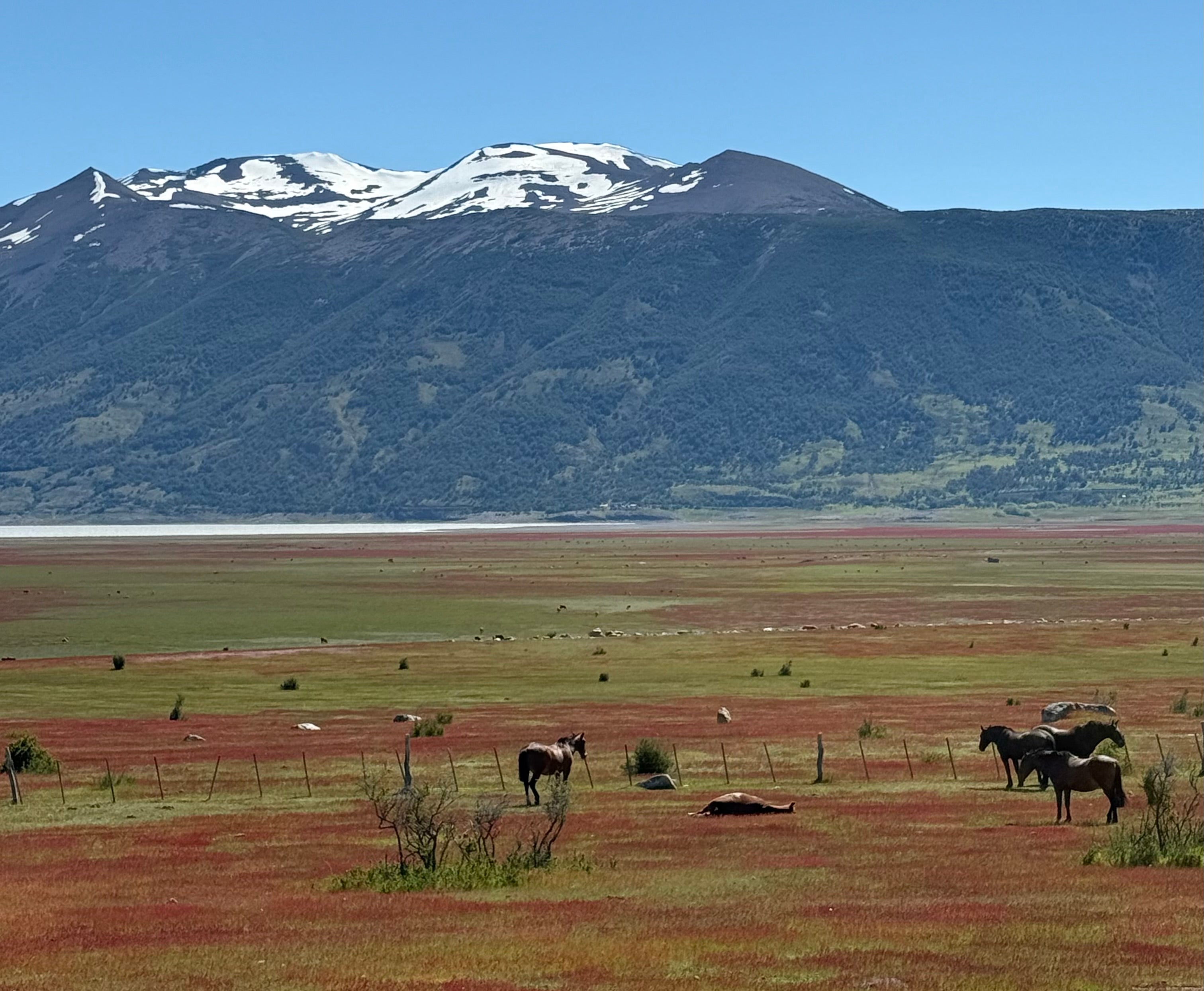 Estancia Rio Mitre is simple and rustic