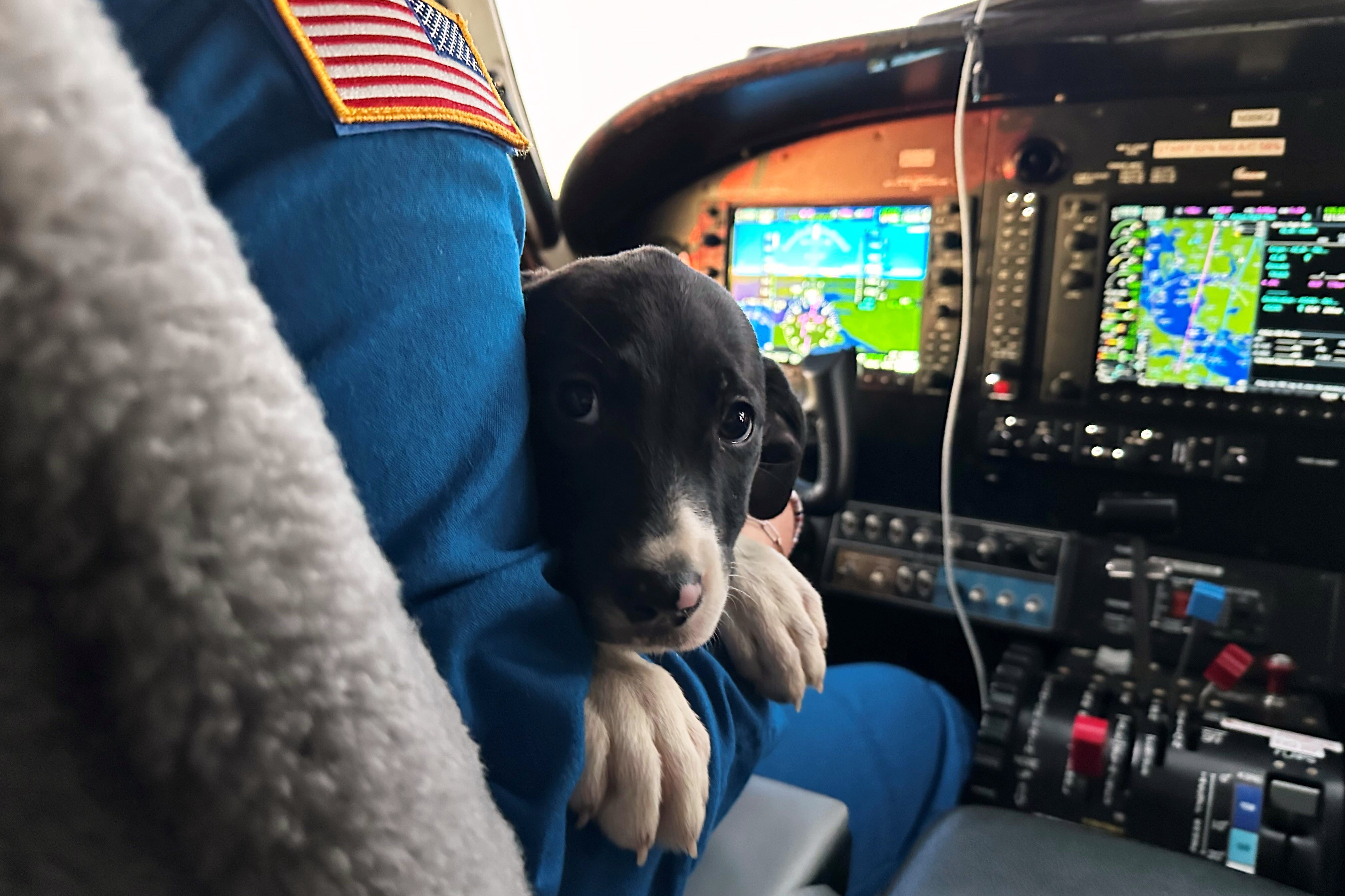 Pet Rescue Flights