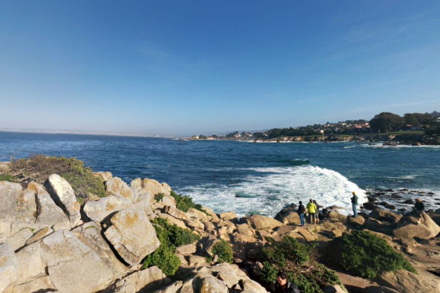 <p>Triathlete Erica Fox, 55, is presumed dead, potentially after a shark attack while swimming offshore Sunday near Lovers Point in Pacific Grove, California </p>