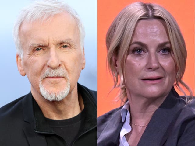 <p>Director James Cameron and Amy Poehler</p>