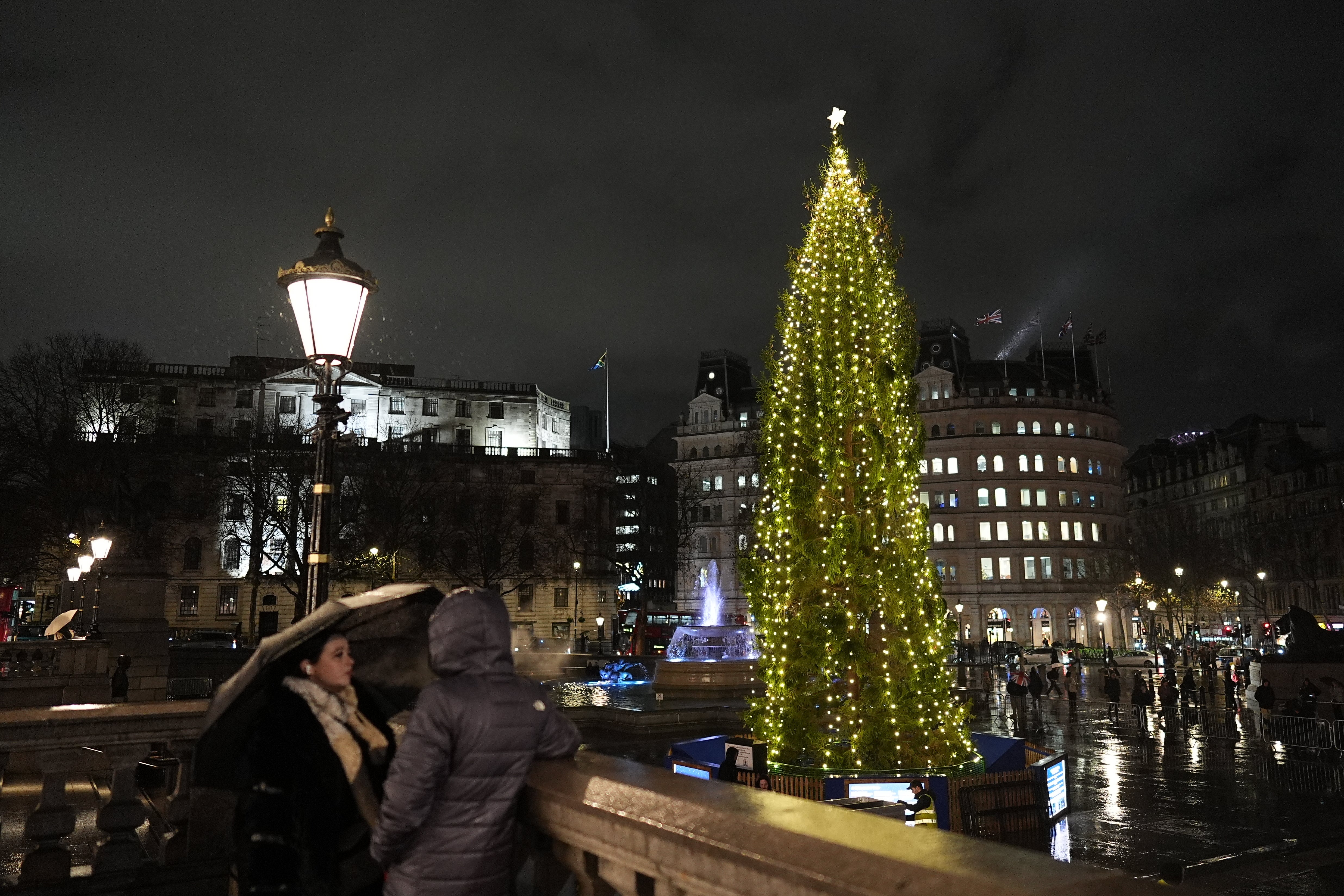 Critics of the Christmas tree in Trafalgar Square have said it looks bare