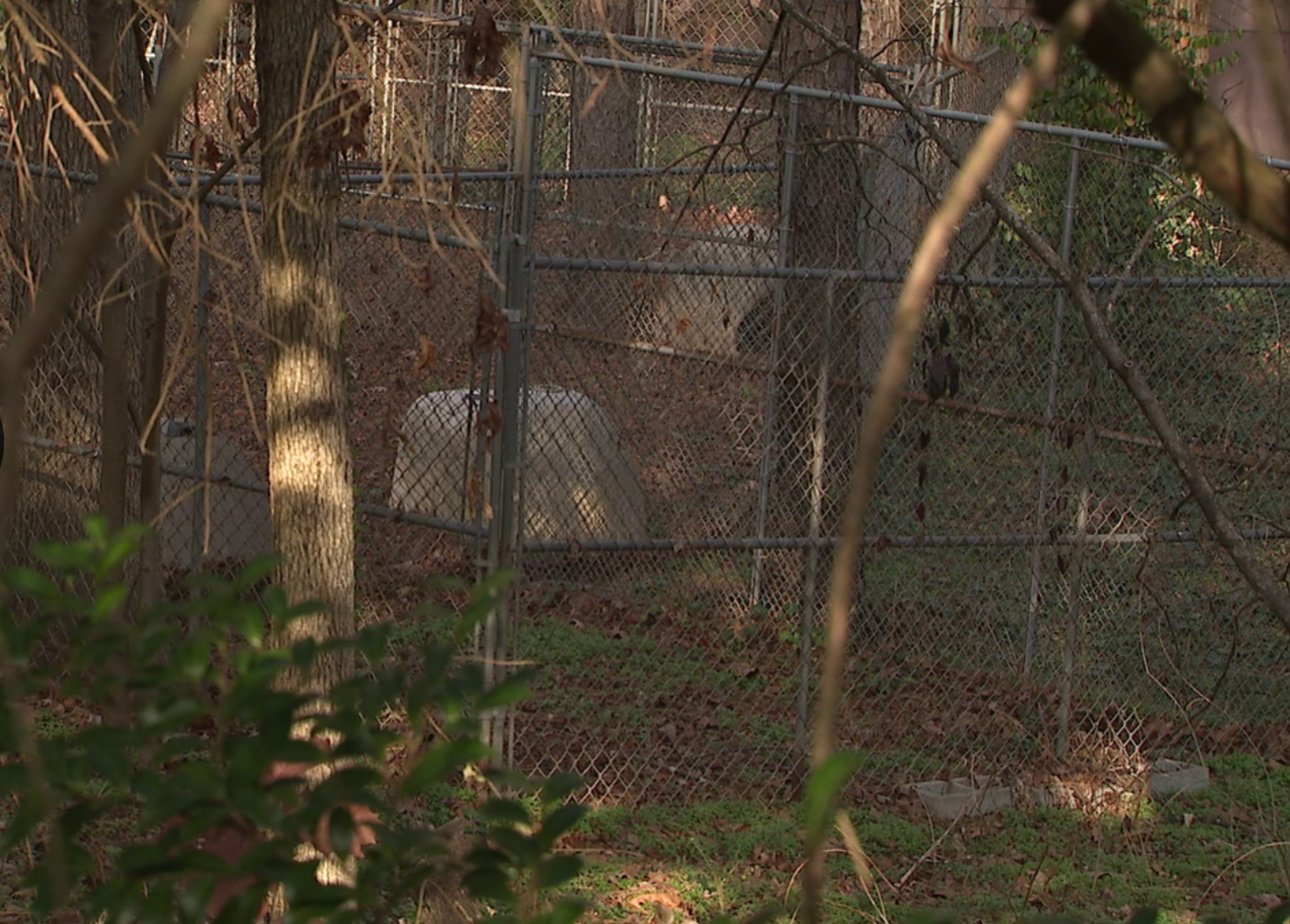 Many of the surviving animals were underweight, malnourished, and living in cages filled with feces and urine