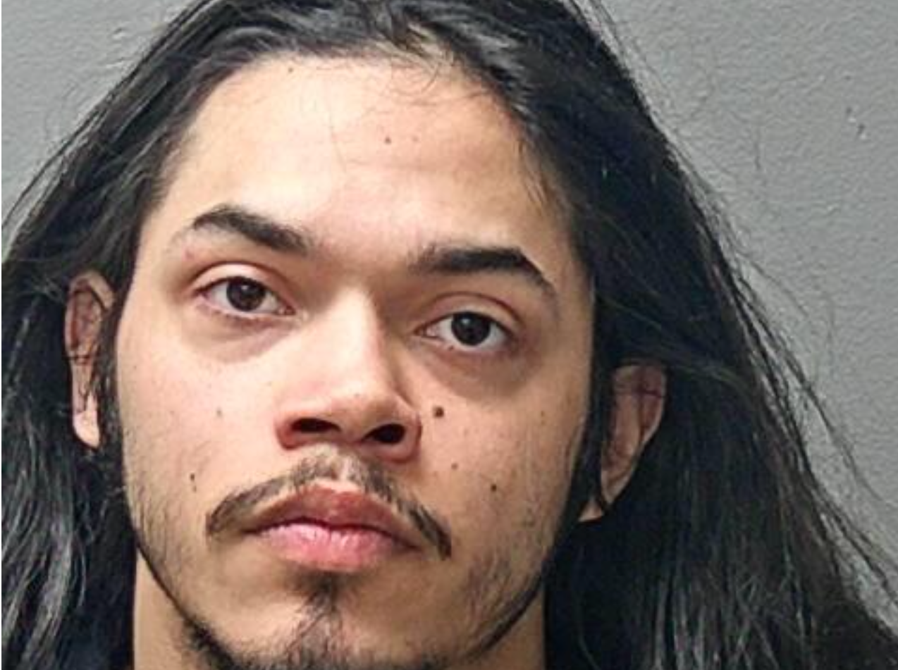 Police arrested 23-year-old Alexander James Nicholas (pictured) in connection with the case