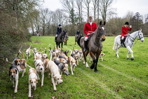 <p>Riders and hounds during the Tedworth Hunt’s Boxing Day meet in Pewsey</p>