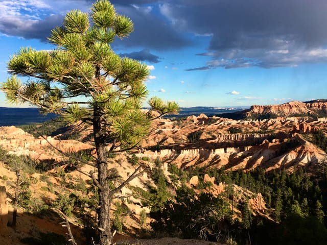 <p>Priceless view: Bryce Canyon in Utah</p>