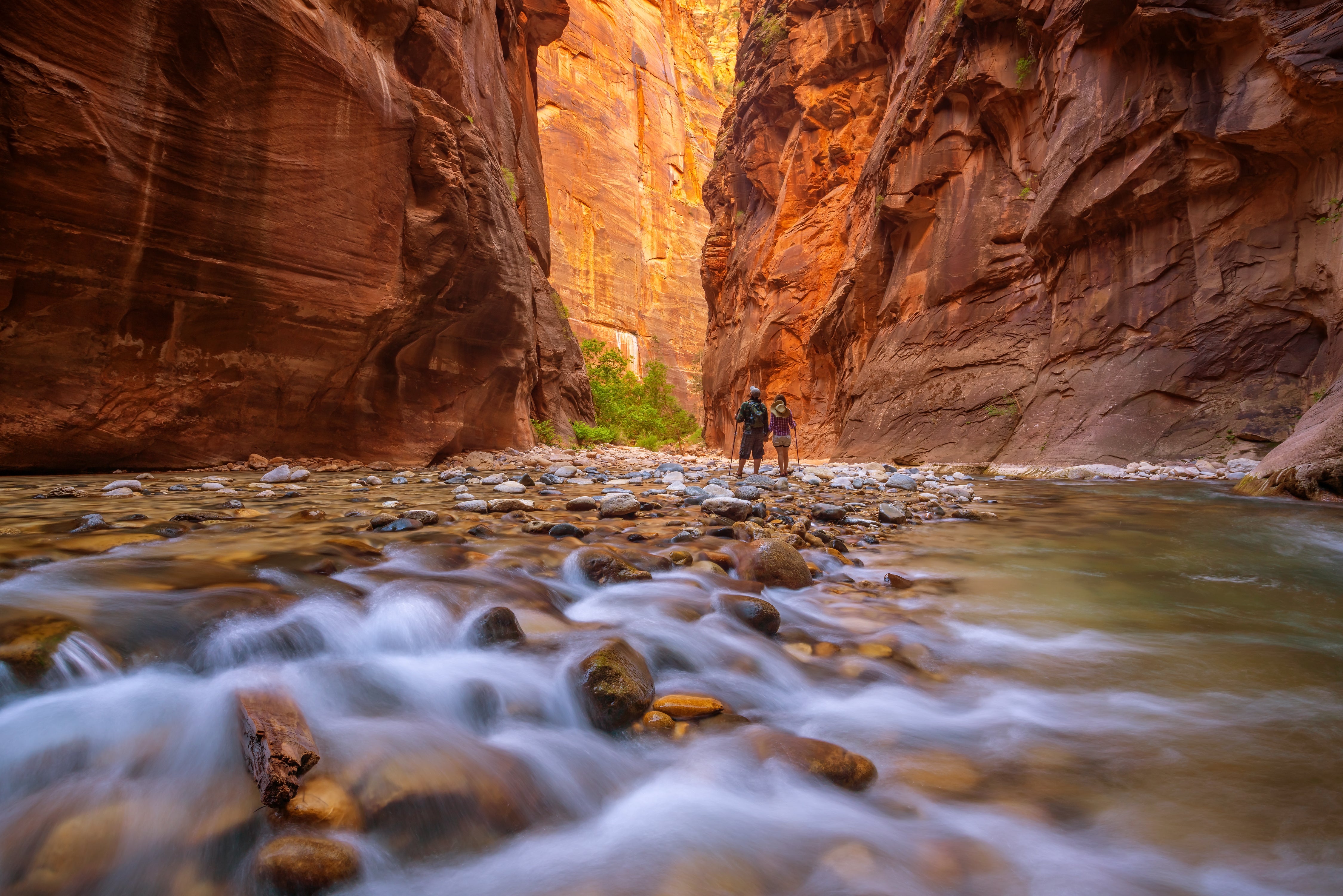 Hiking The Narrows in Zion National Park involves walking directly along the Virgin River