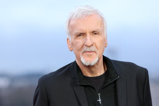 <p>James Cameron at 'Avatar: Fire And Ash' photocall in Paris</p>