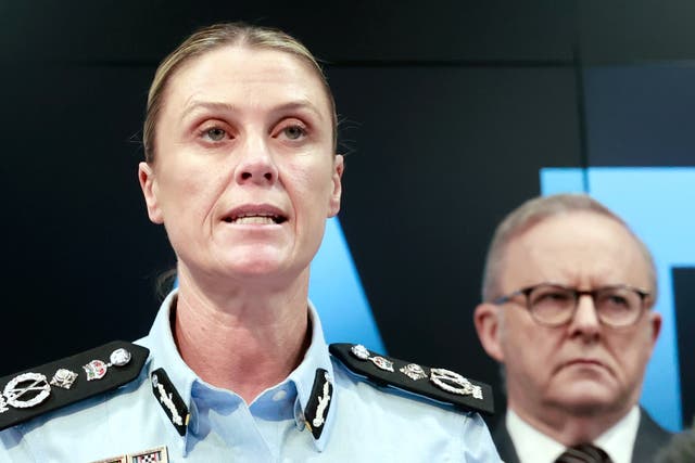 <p>‘These individuals are alleged to have acted alone,’ says Australia Federal Police commissioner Krissy Barrett </p>