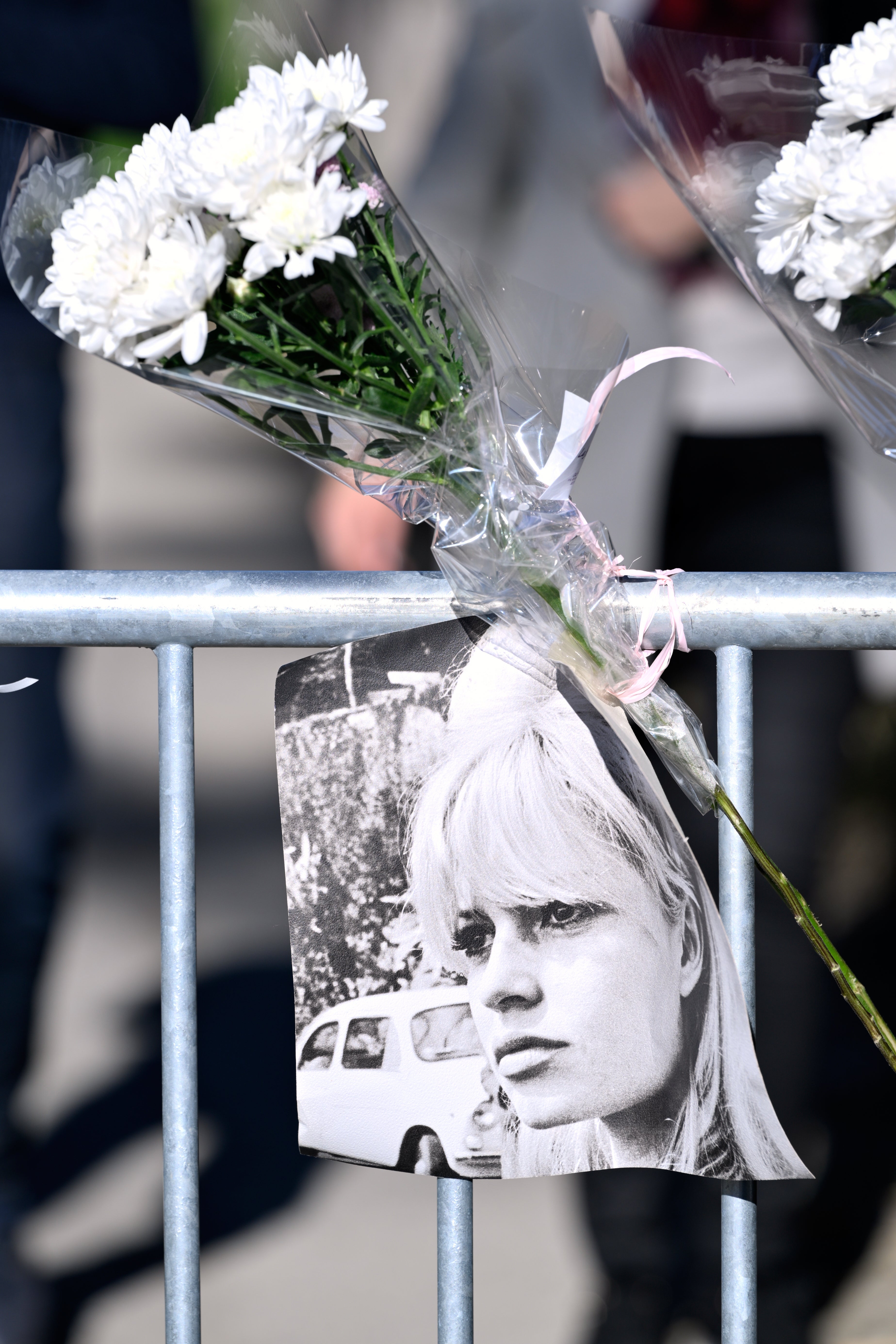 Постер који приказује глумца Брижит Бардо и цвеће виси у близини куће Брижит Бардо у Сен Тропеу