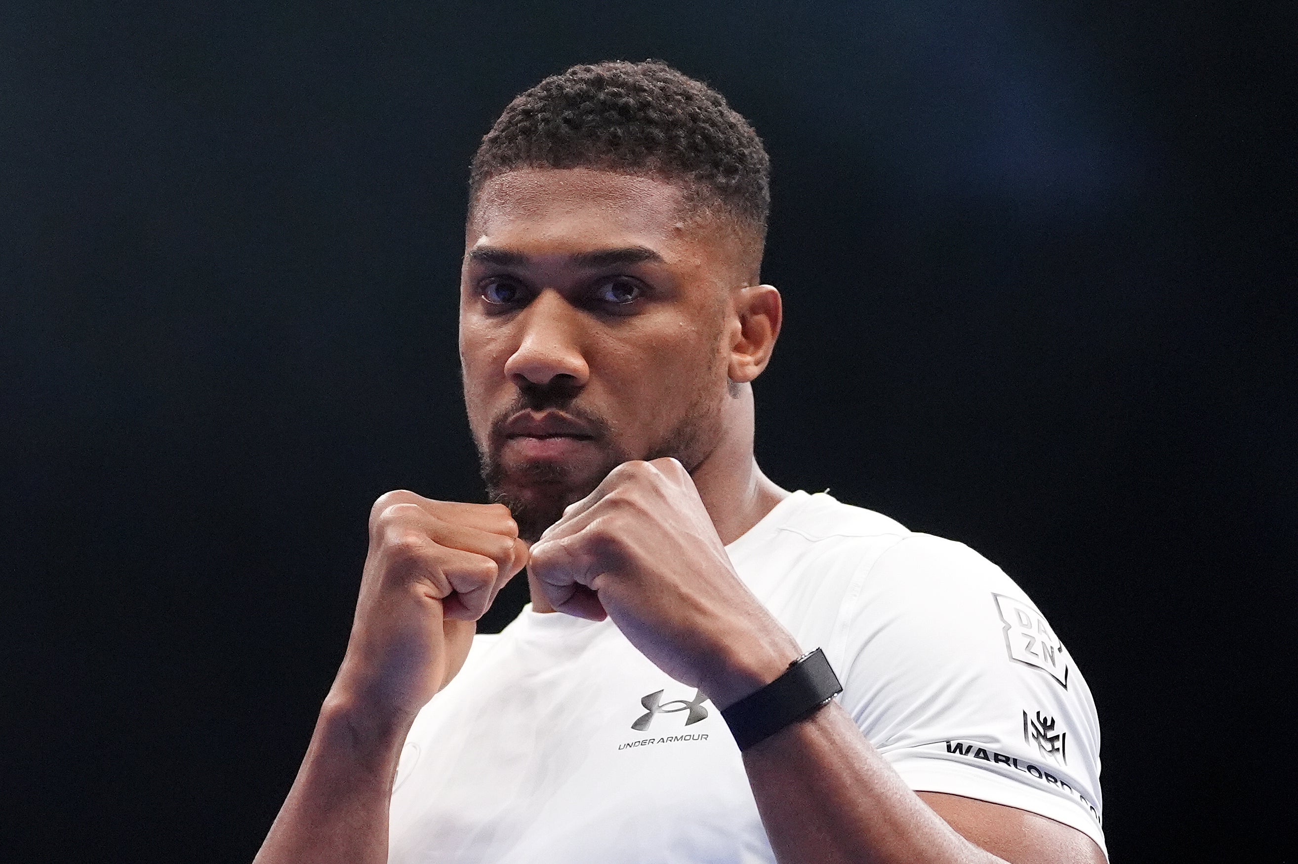 <p>Anthony Joshua, pictured, defeated Jake Paul less than a fortnight ago (Bradley Collyer/PA)</p>