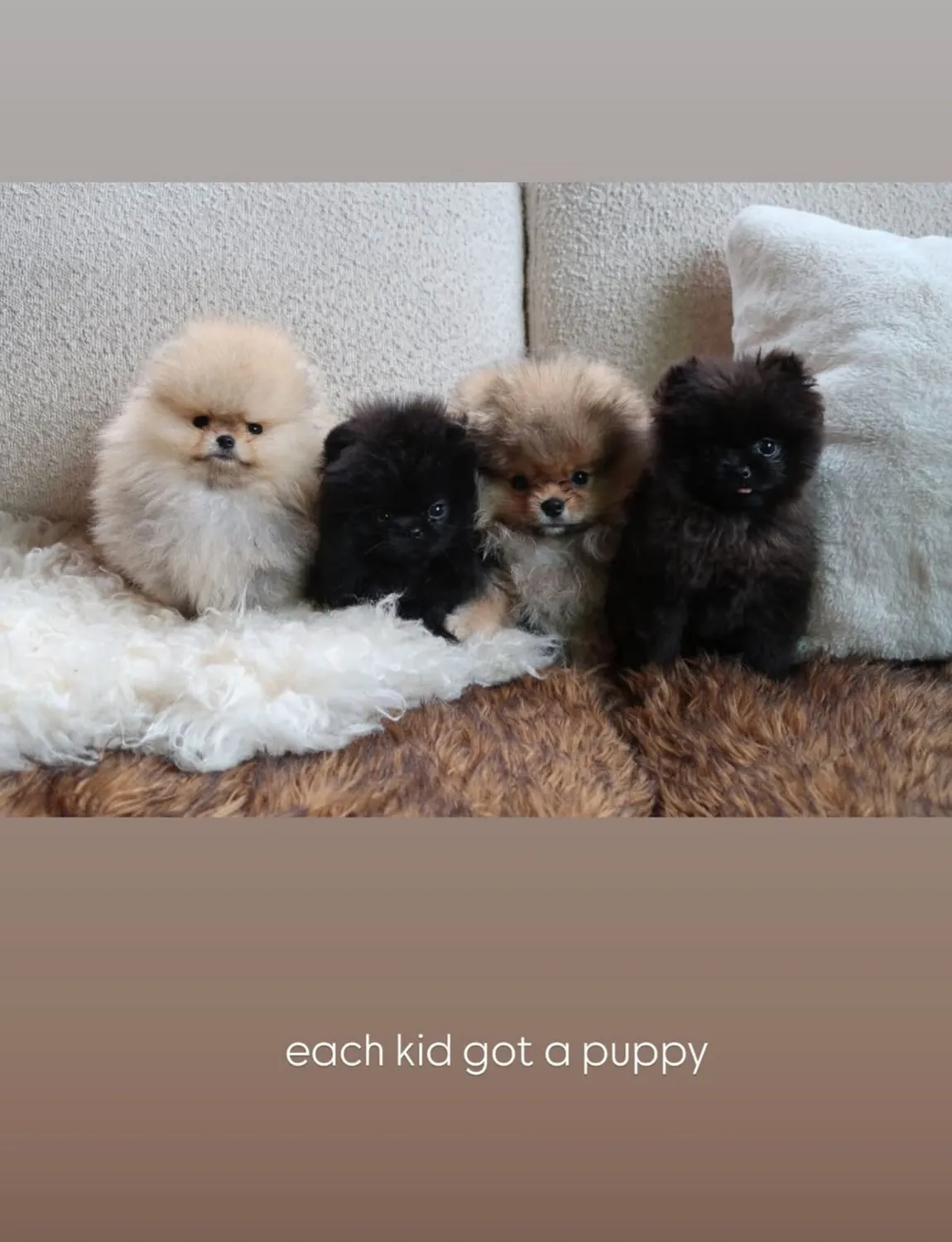 ”Each kid got a puppy,” the reality shared alongside a photo of the four Pomeranians