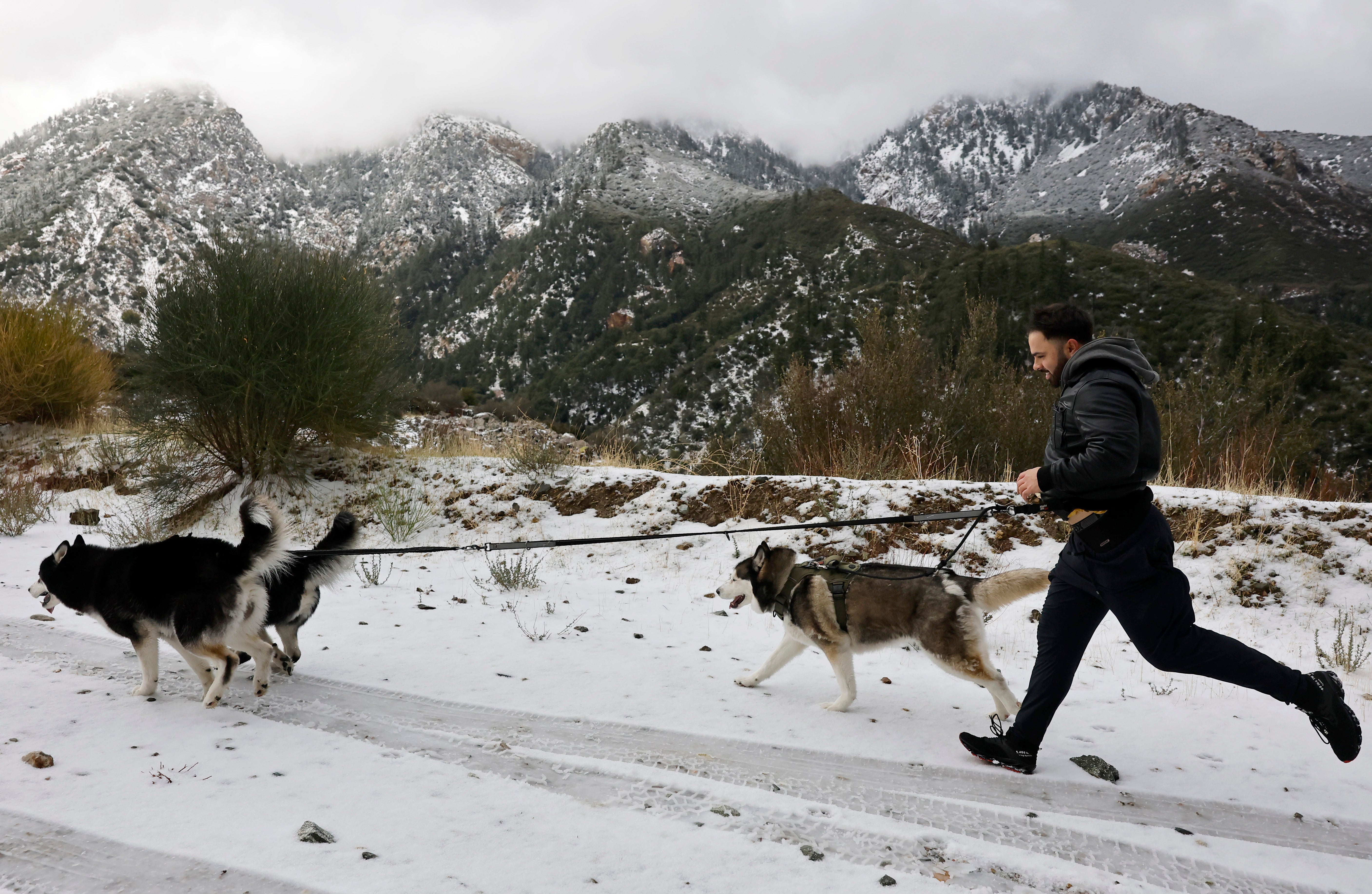 Three hikers have been found dead in southern California, including a 19-year-old who fell 500 feet near the Devil’s Backbone trail of Mount Baldy, police say