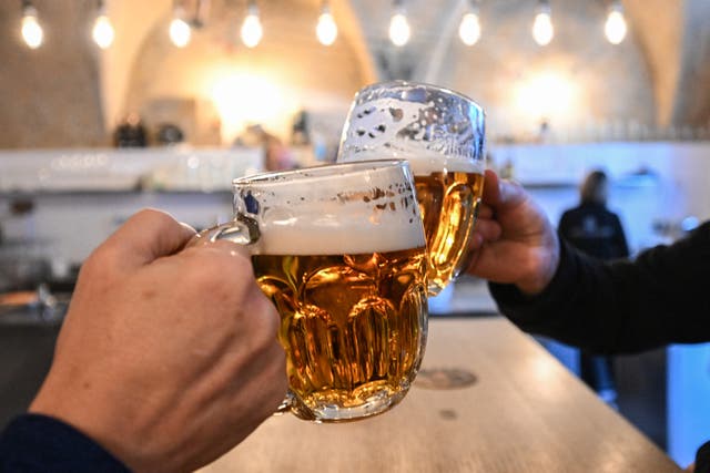 <p>Two men clink their beer mugs </p>