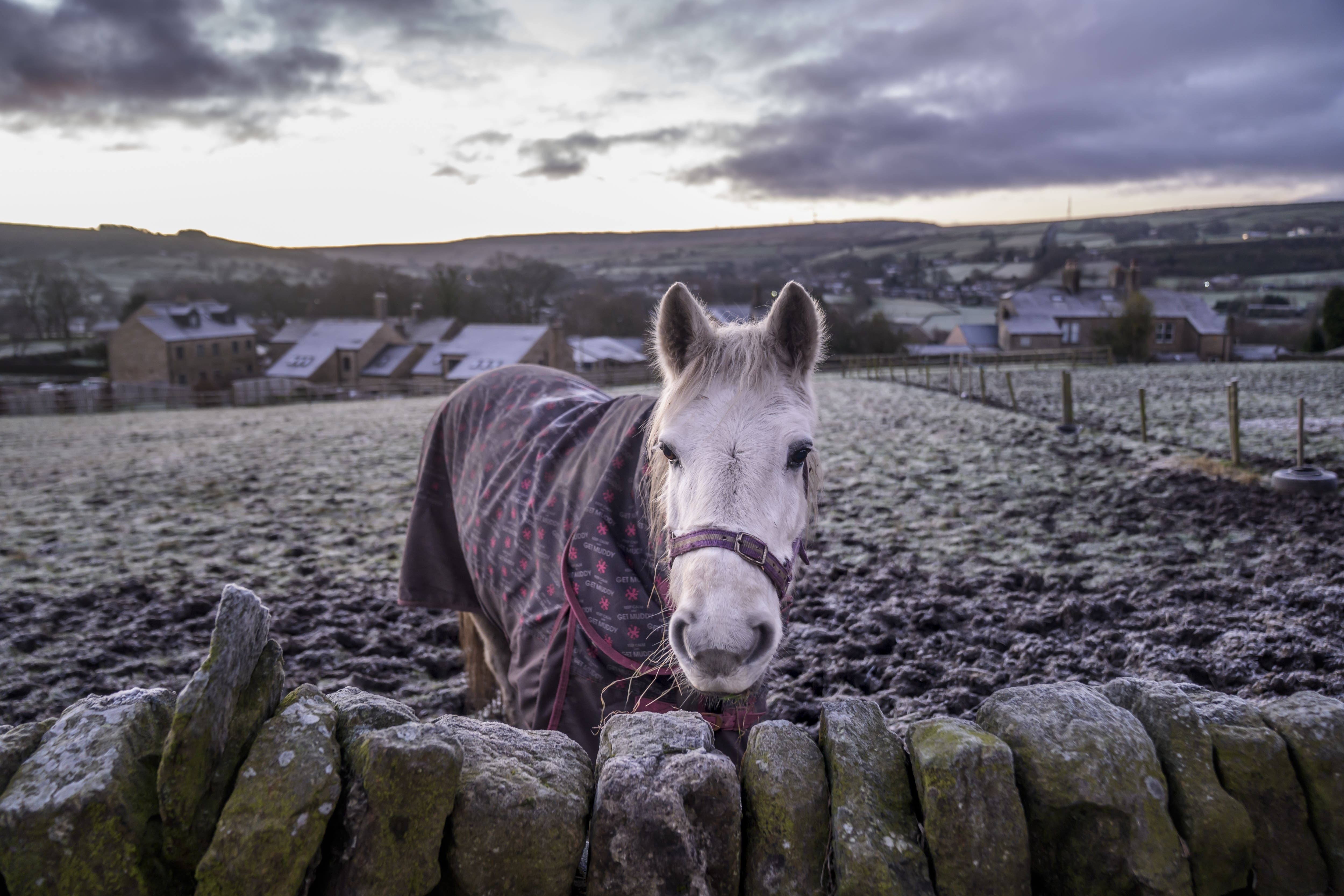 Chilly conditions are forecast across the UK for the start of 2026 (Dannl Lawson/PA)