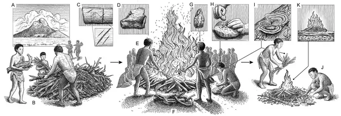 Reconstructed events of pyre