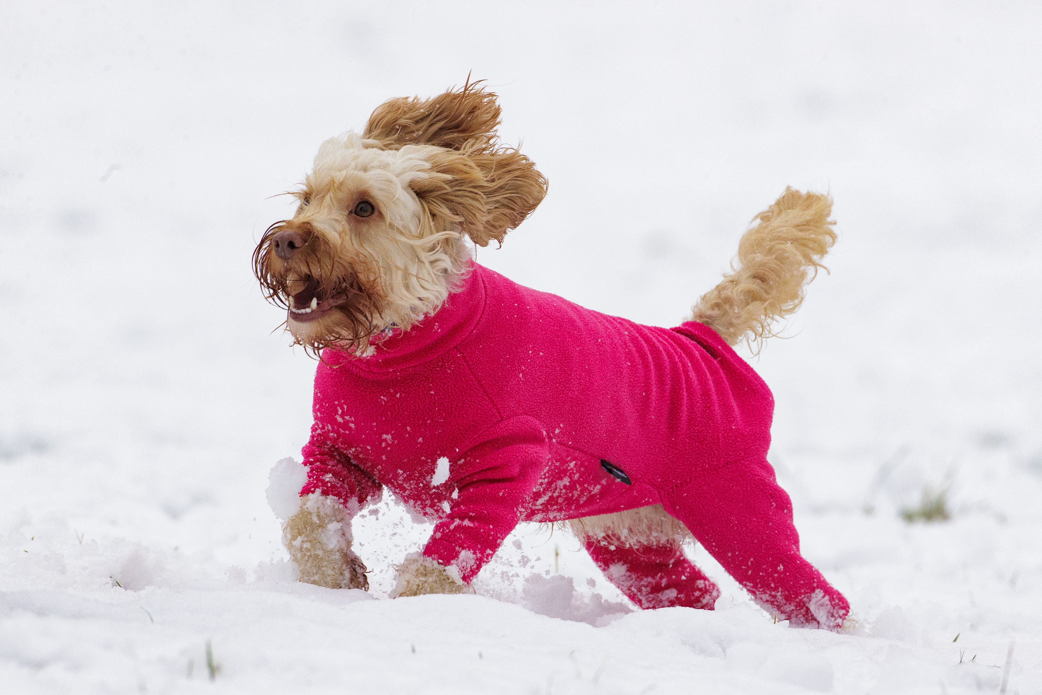 Snow is forecast in some areas (Liam McBurney/PA)
