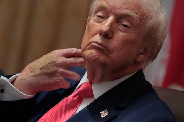 <p>President Donald Trump insisted he had ‘PERFECT HEALTH’ in an early-morning Truth Social post</p>