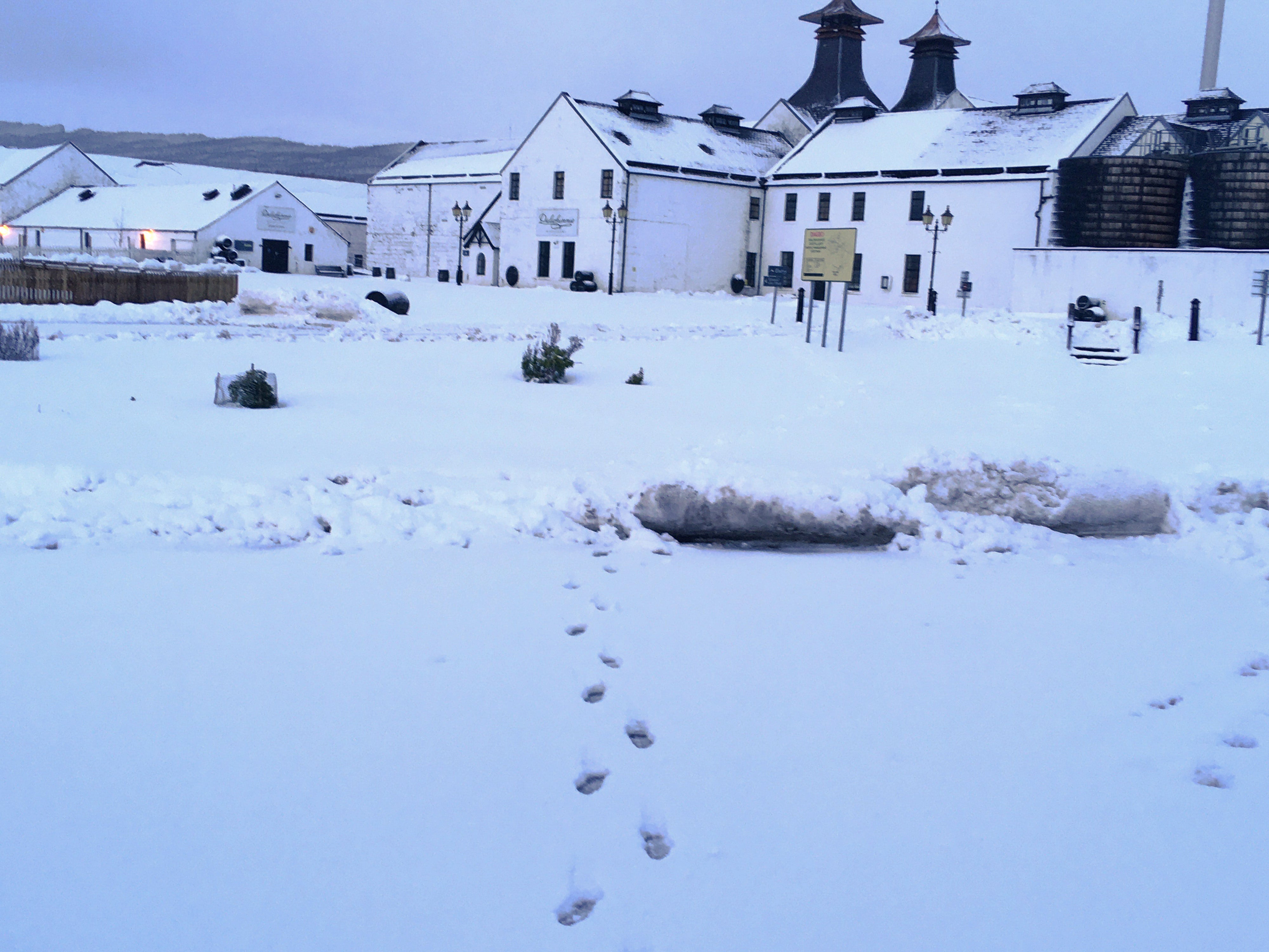 Snowy scenes at Dalwhinnie Distillery which sits at around 1,300ft above sea level in the Cairngorms National Park in the heart of the Highlands.