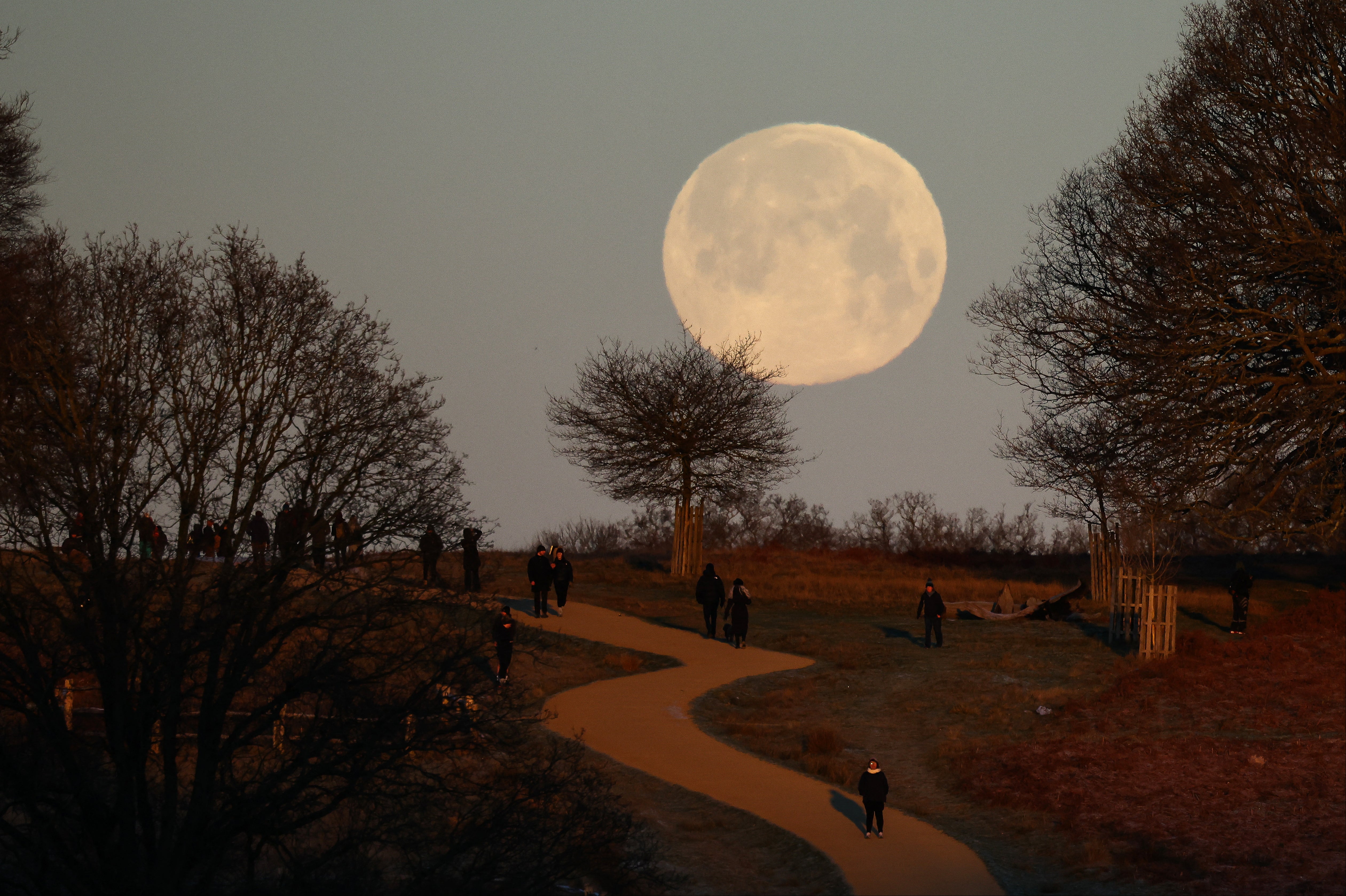 The Wolf supermoon sets, seen from Richmond Park, south west London early in the morning of January 3, 2026. (Photo by Henry NICHOLLS / AFP via Getty Images)