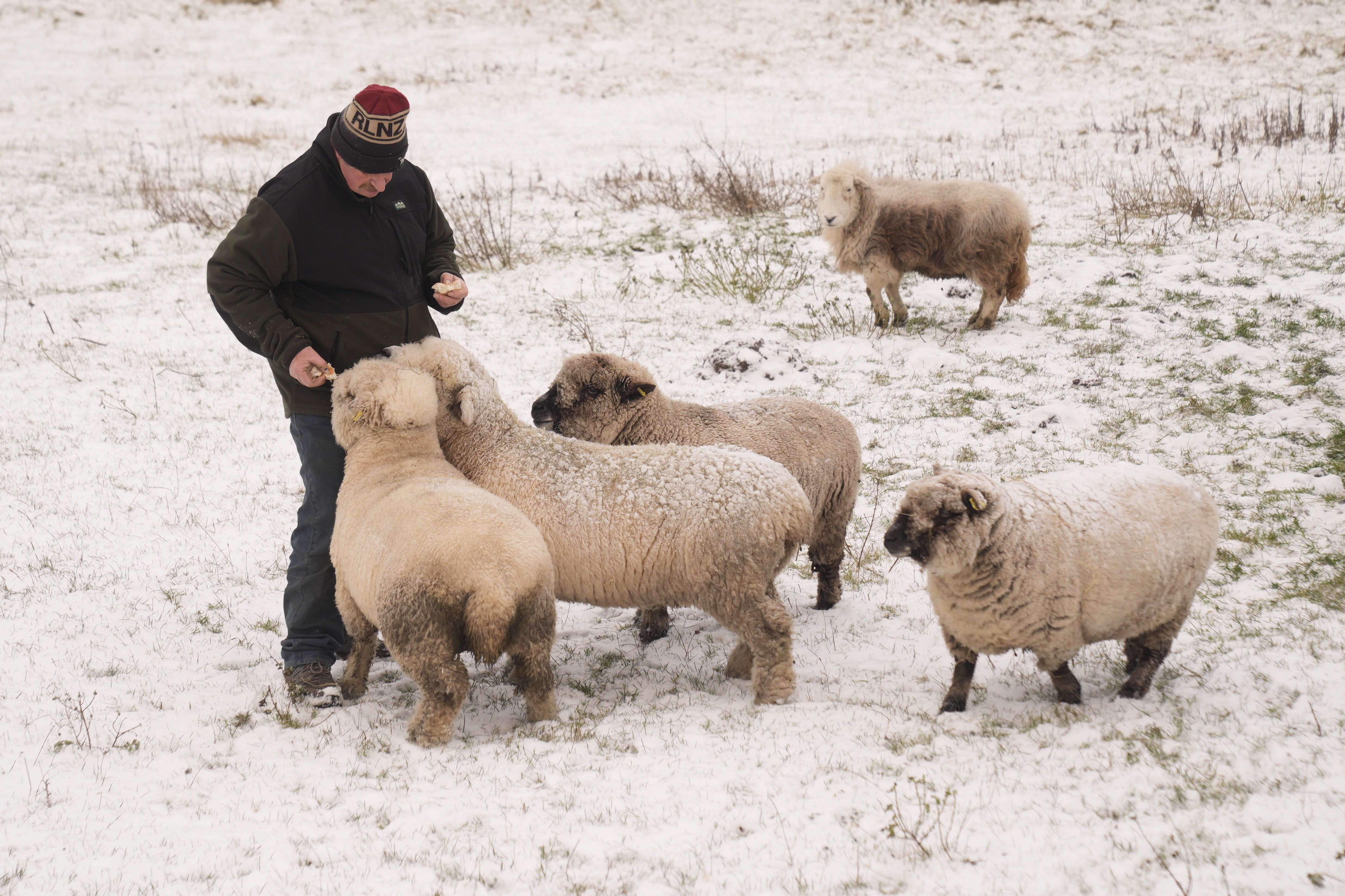 A farmer feeding his sheep near Handale in North Yorkshire in wintry conditions (Danny Lawson/PA)