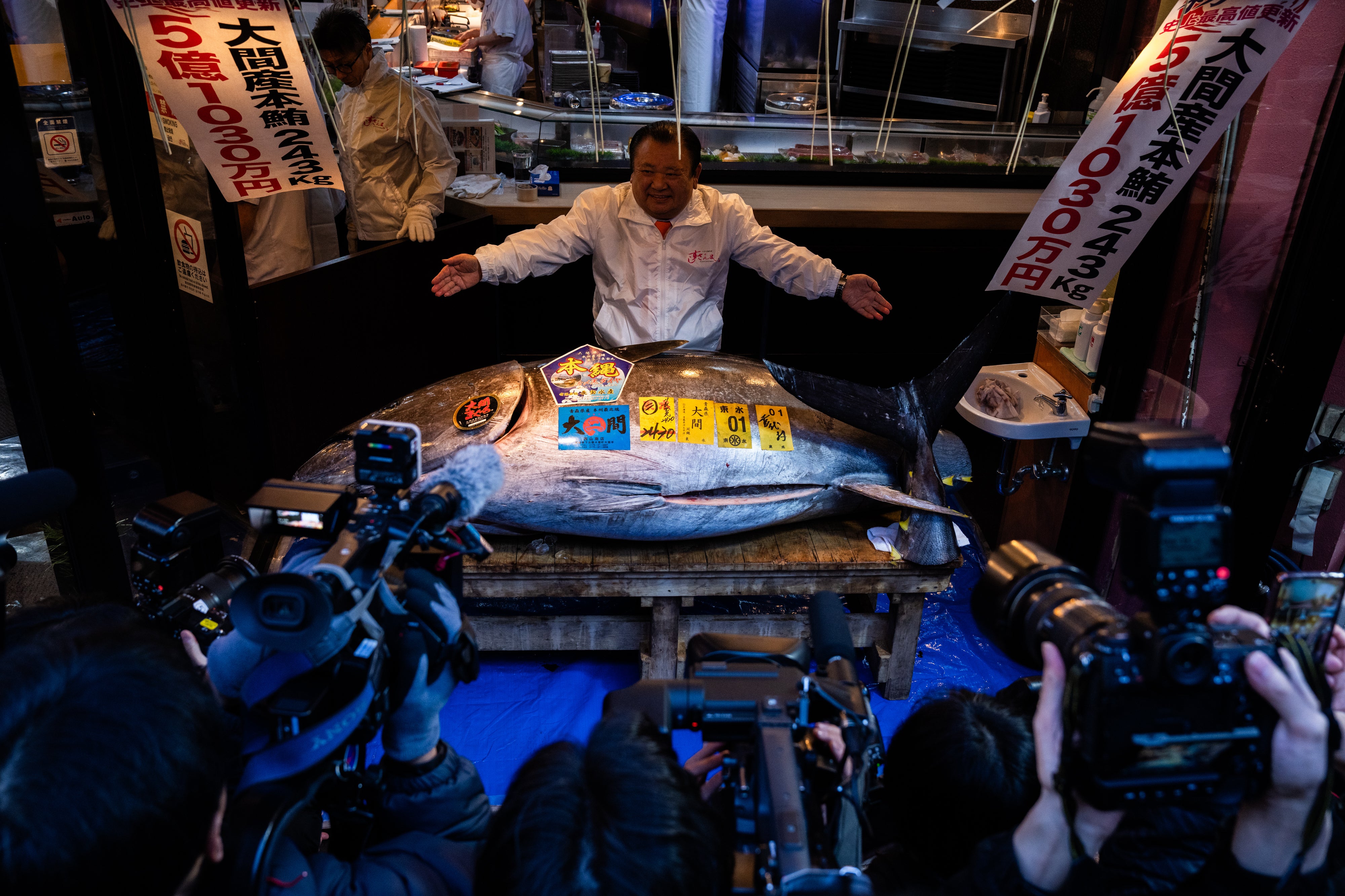 Japan Tuna Auction