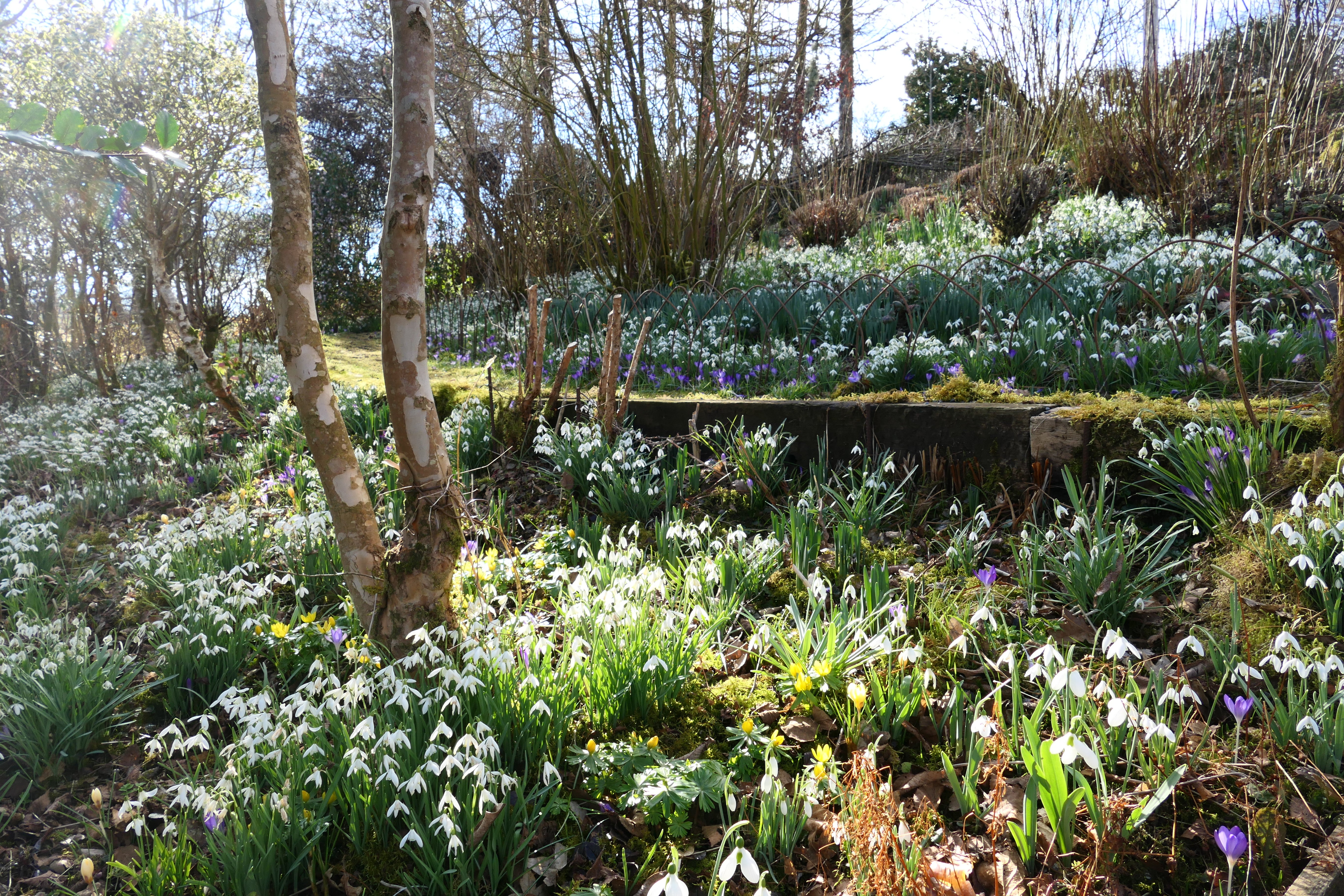 (National Garden Scheme/PA