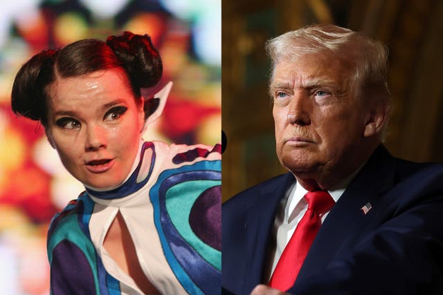 <p>Icelandic singer Björk has urged Greenland to declare independence from Denmark before Donald Trump annexes the island </p>