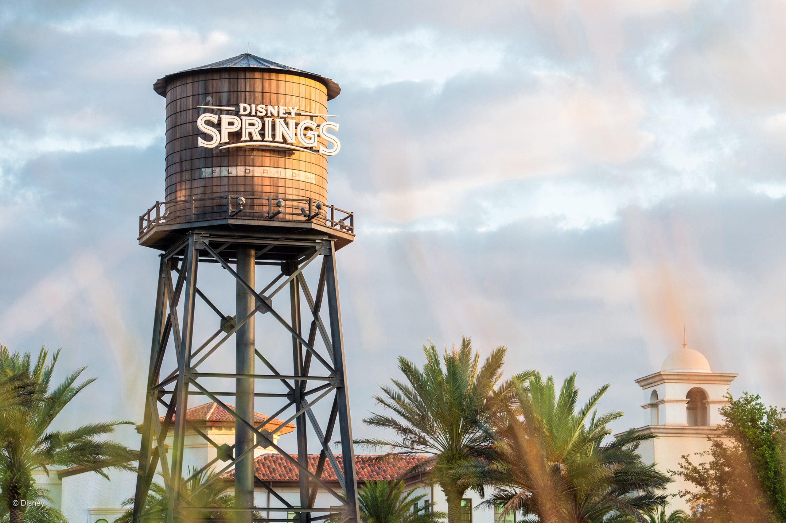 The fatal incident occurred at a restaurant within Disney Springs, an expansive shopping, entertainment, and dining district at Walt Disney World in Orland, Florida